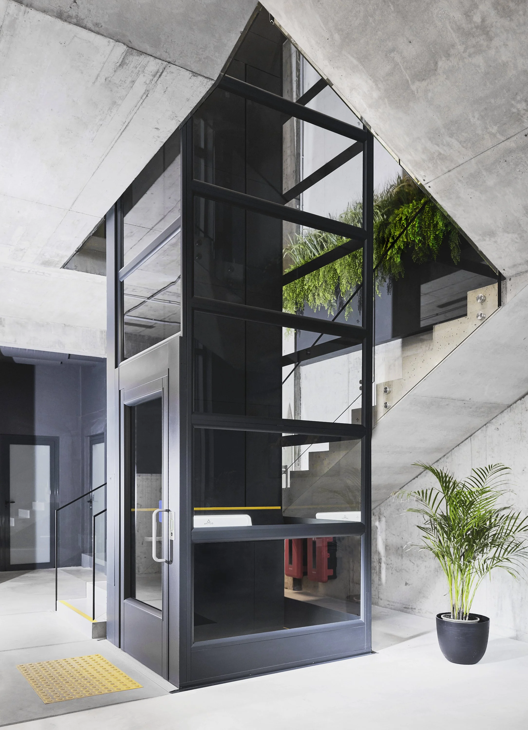 Modern building interior with an elevator made of black metal and glass, concrete walls, potted green plant, and exposed staircase with greenery on the upper level.