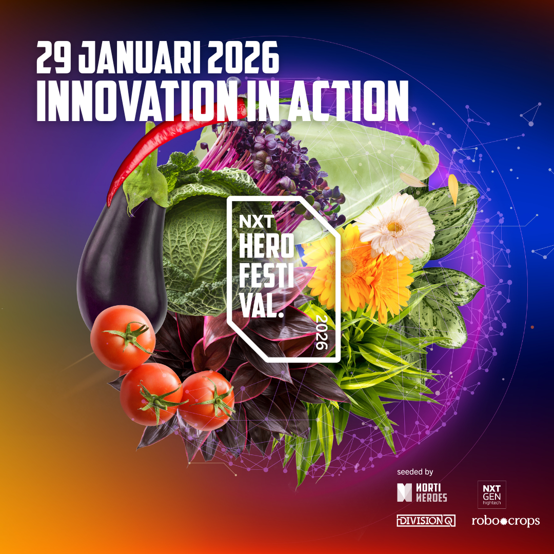 NXT HeroFestival 2026