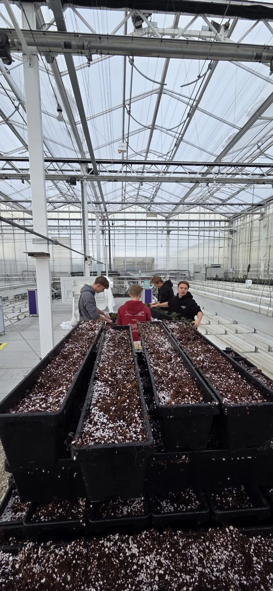 WhatsApp Image 2026-01-15 at 07.40.57.jpeg