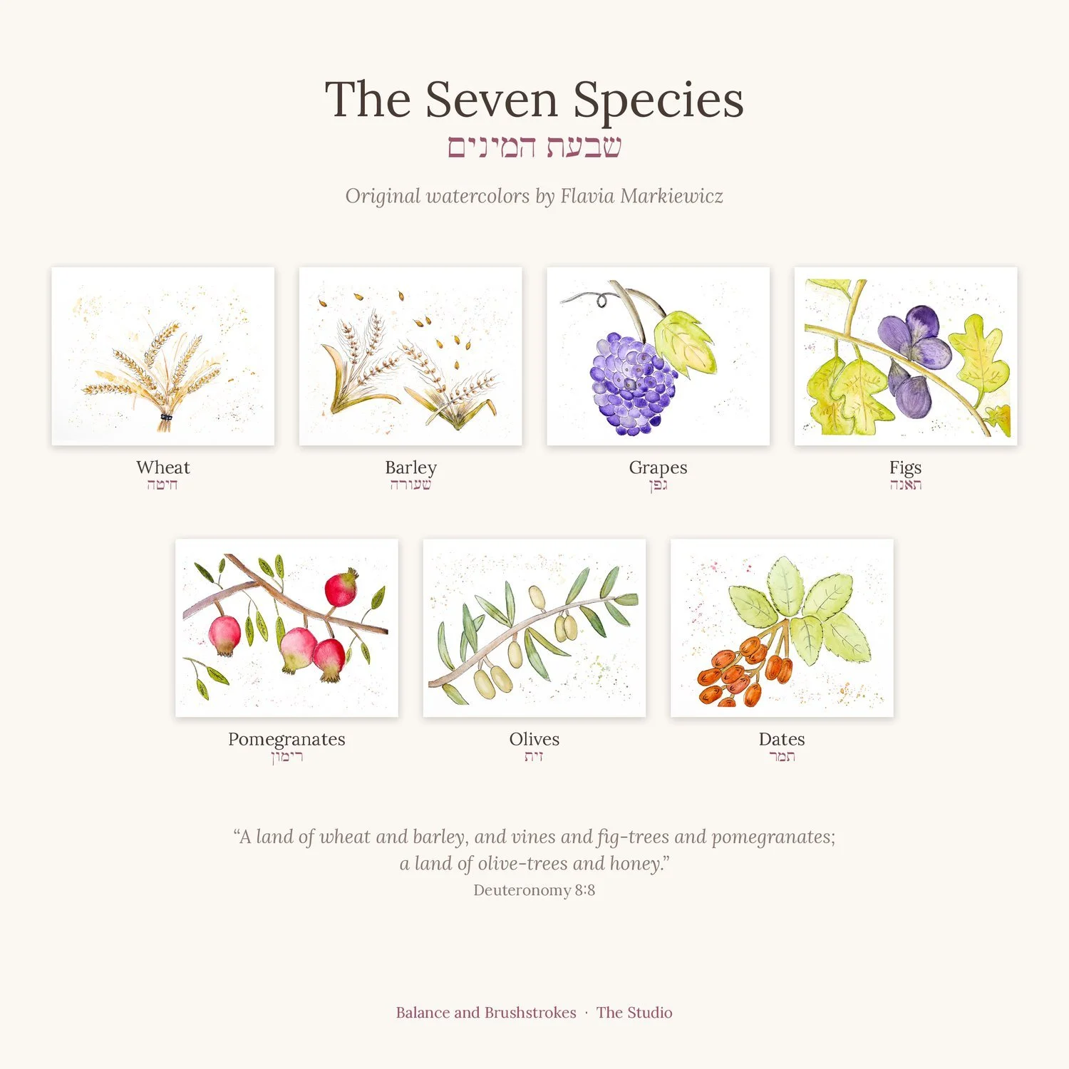 Grid of seven watercolor paintings of wheat, barley, grapes, figs, pomegranates, olives and dates, titled The Seven Species