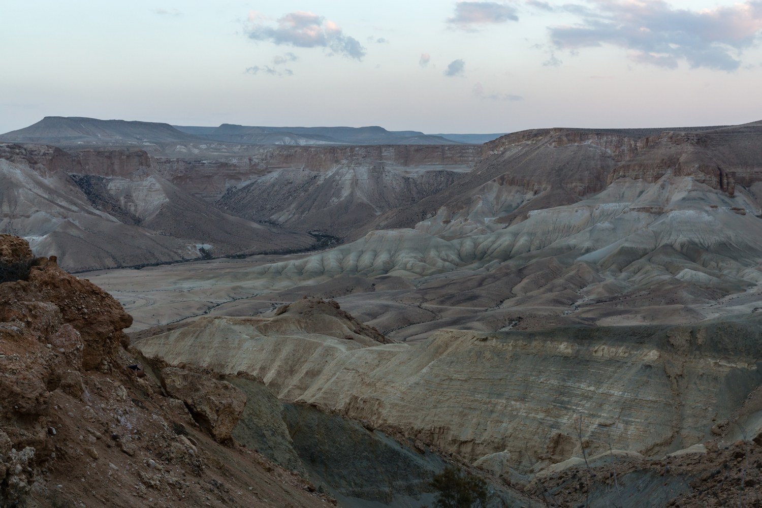 Layered canyon walls of Nahal Zin at blue hour under a pale sky with pink clouds