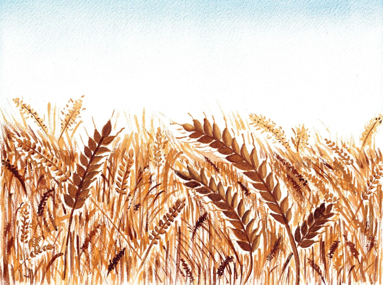 Wheat Field