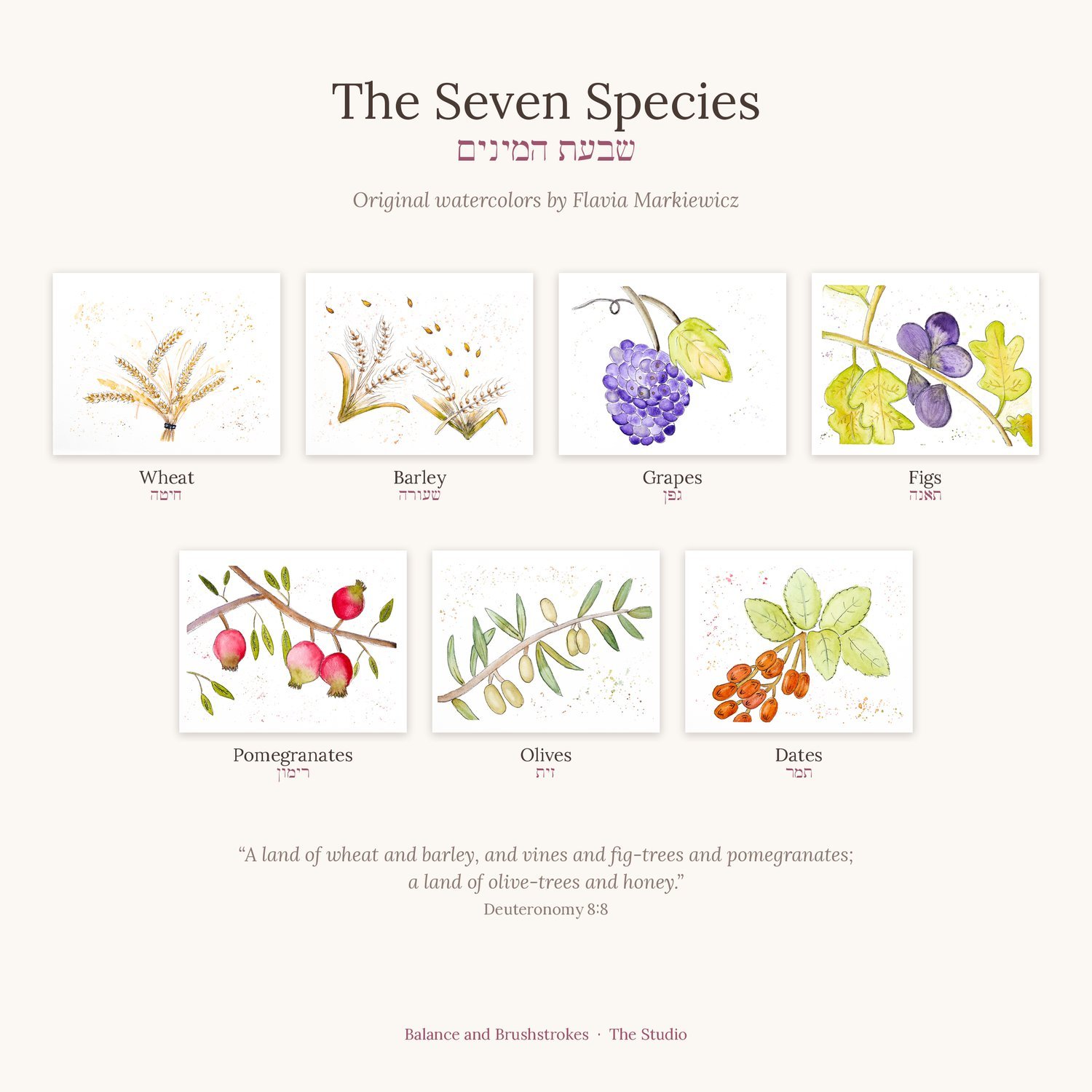 Grid of seven watercolor paintings of wheat, barley, grapes, figs, pomegranates, olives and dates, titled The Seven Species