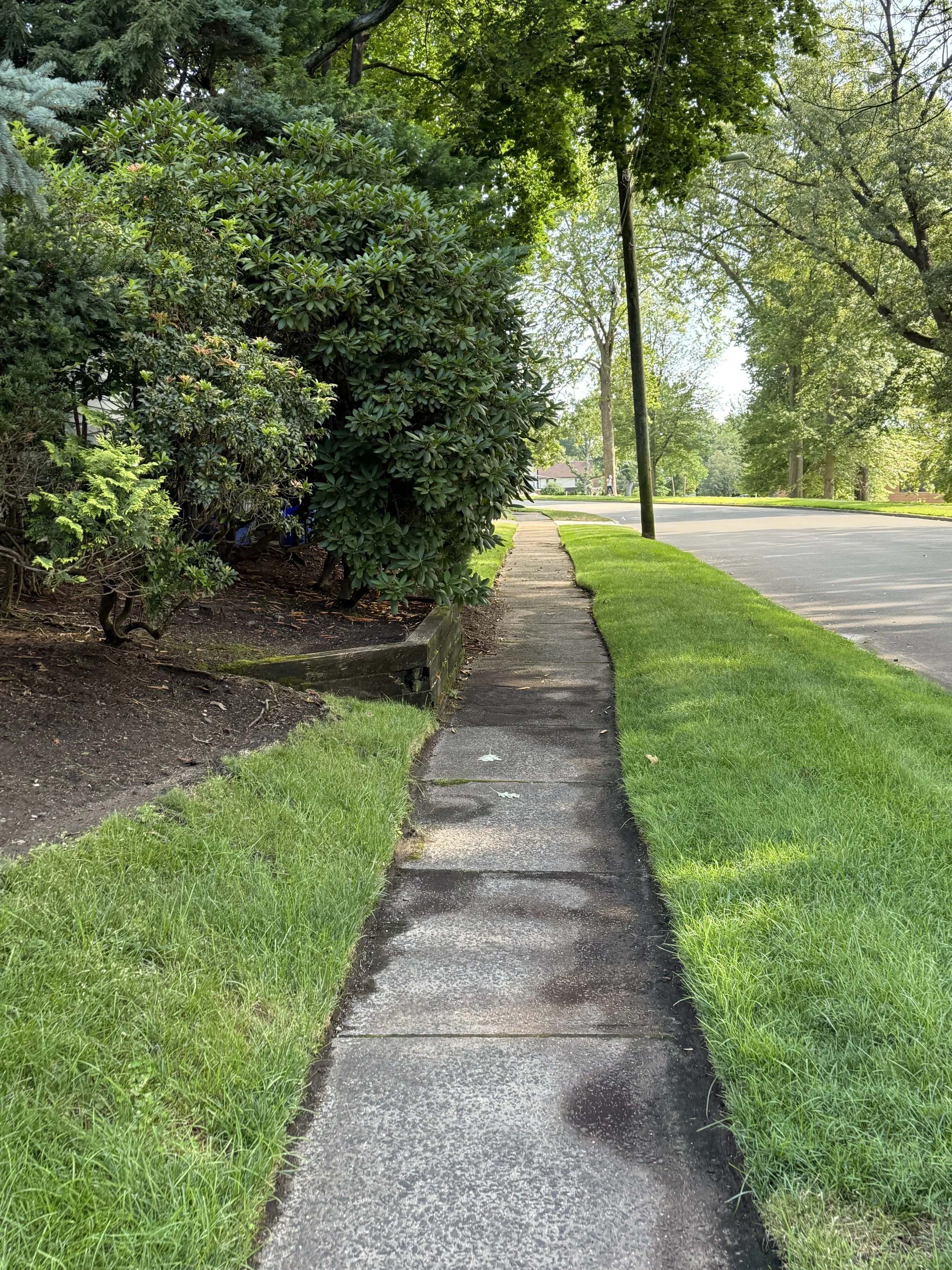 walking path