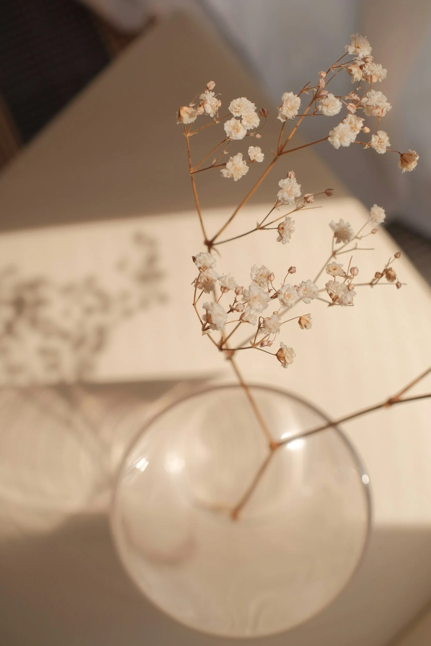 Dried white flowers in a clear round glass vase on a white surface.