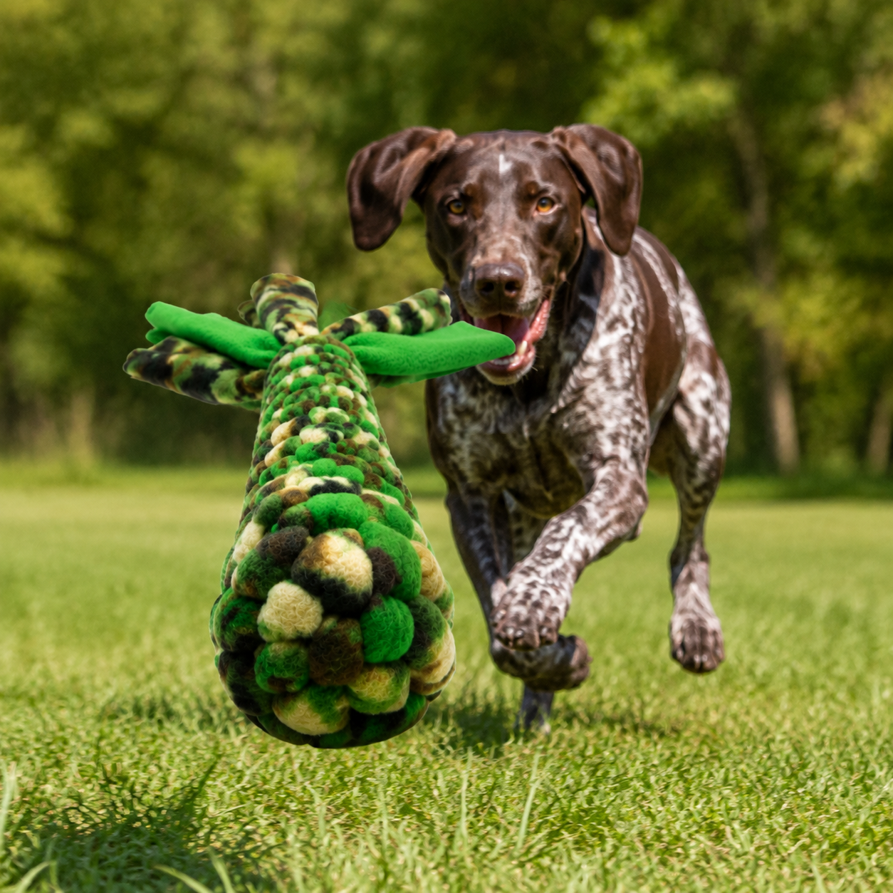 squirrel green action.png