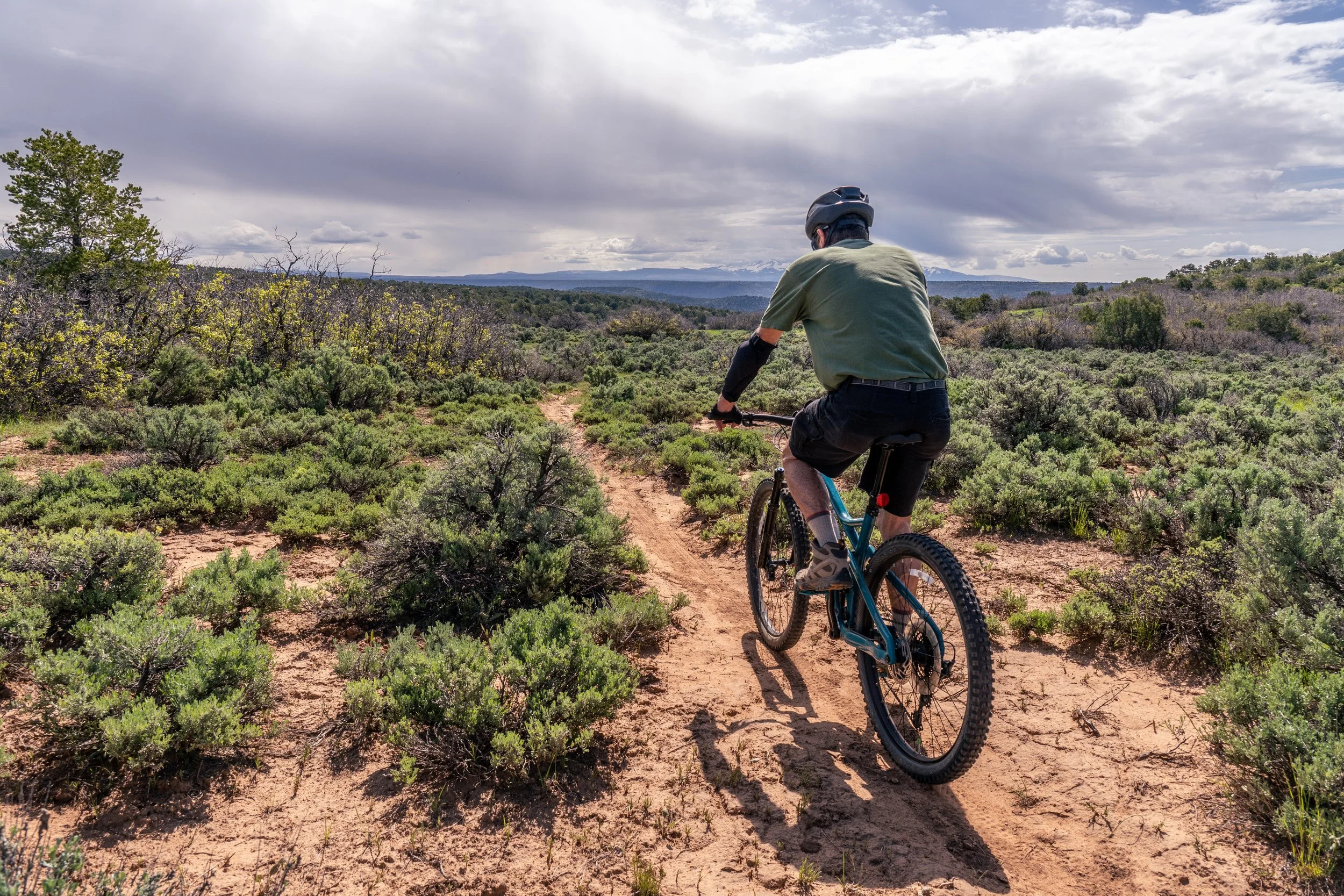 Mountain bike rider at La Tierra trails, Santa Fe, New Mexico, guided rides