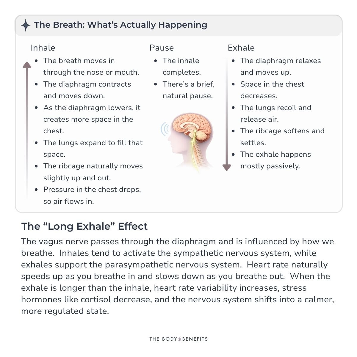 The Breath Explained