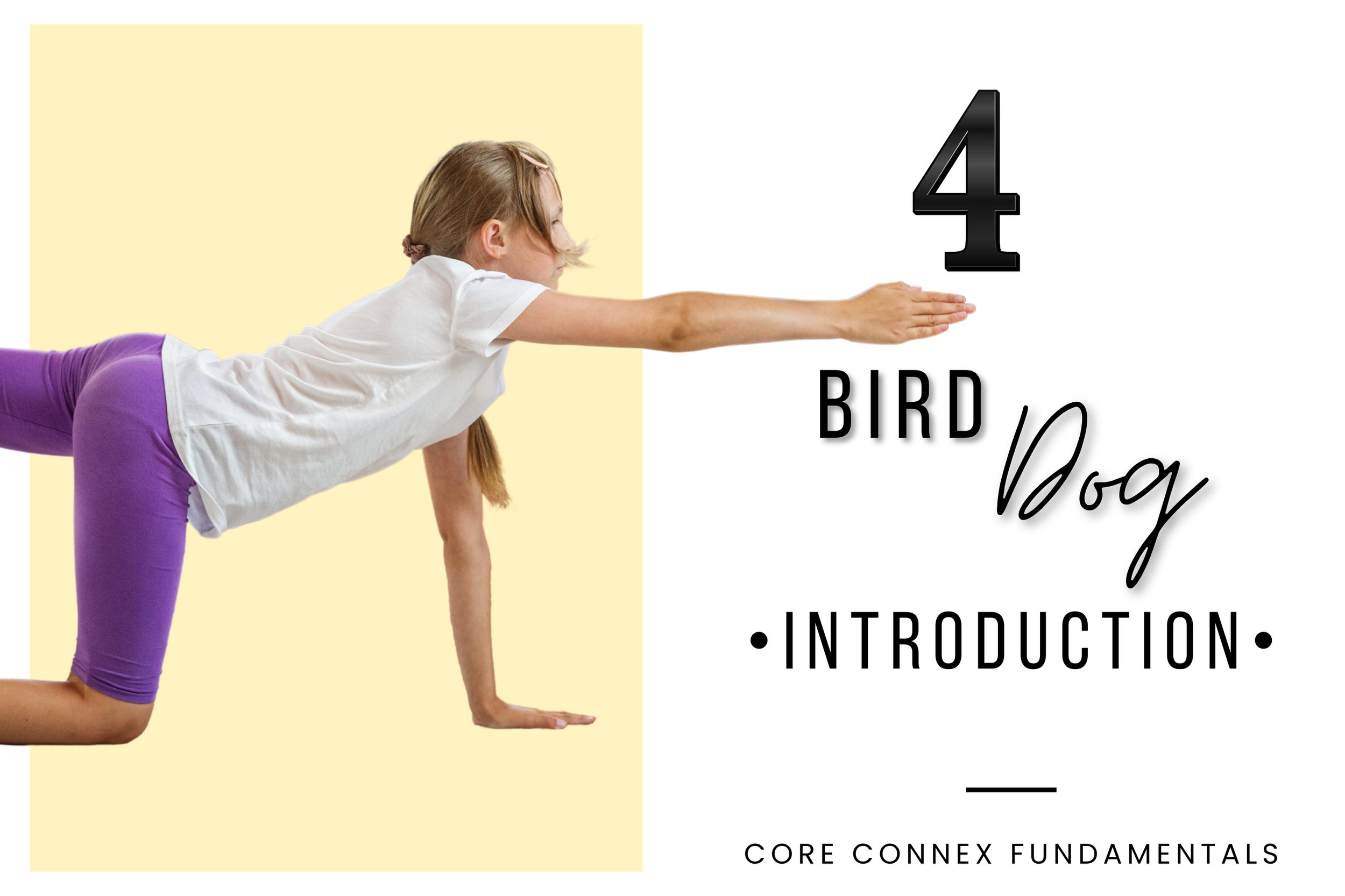 Bird Dog Intro.png