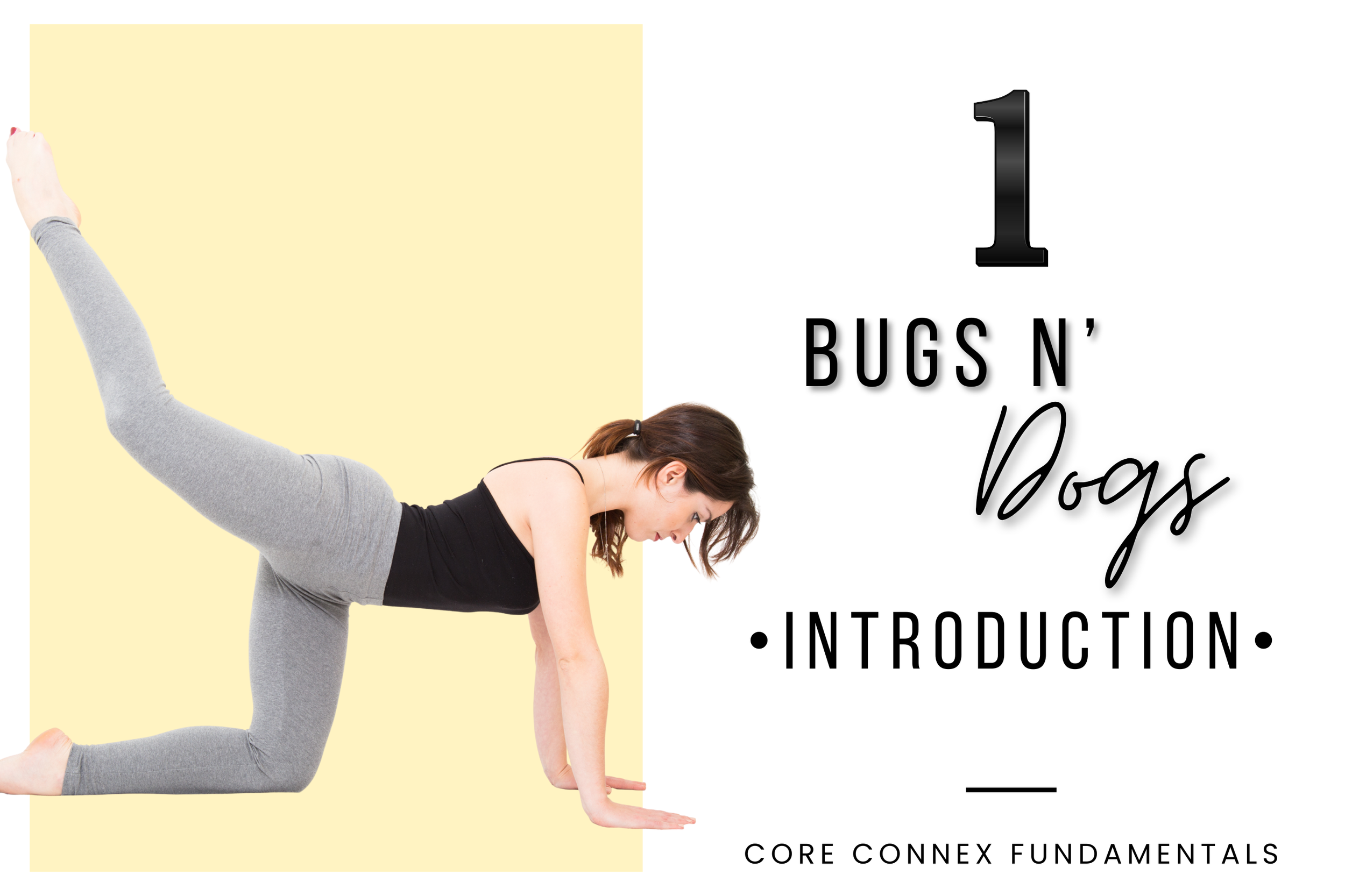 Bug n Dogs Intro.png