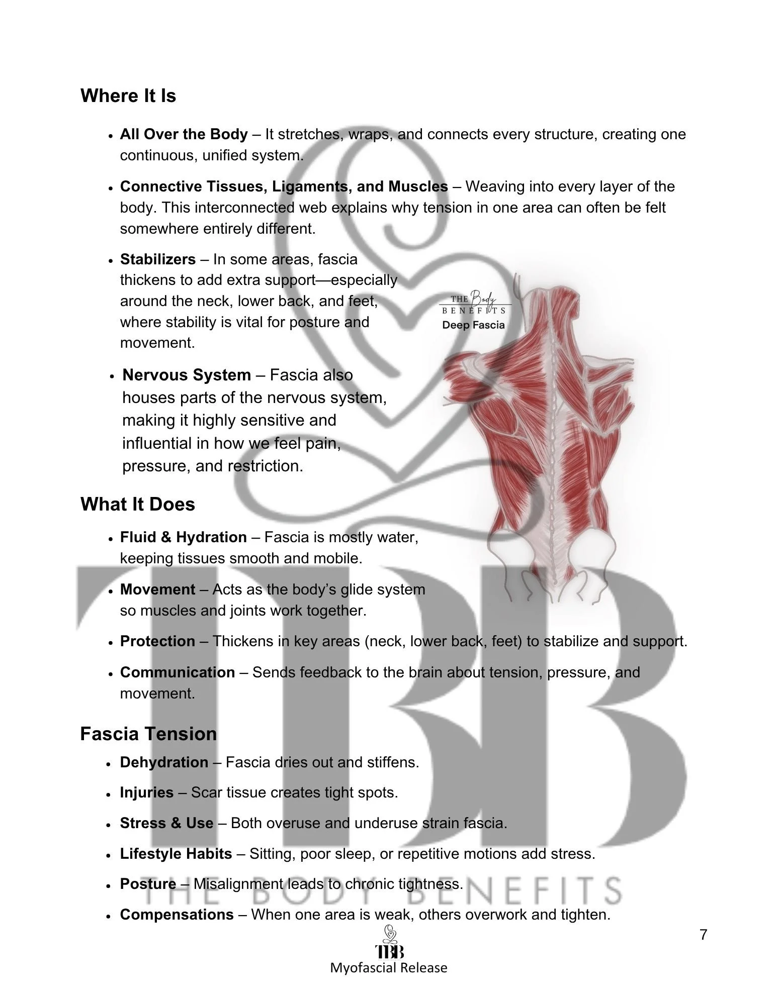 Myofascial Release Sneak Peek.jpg