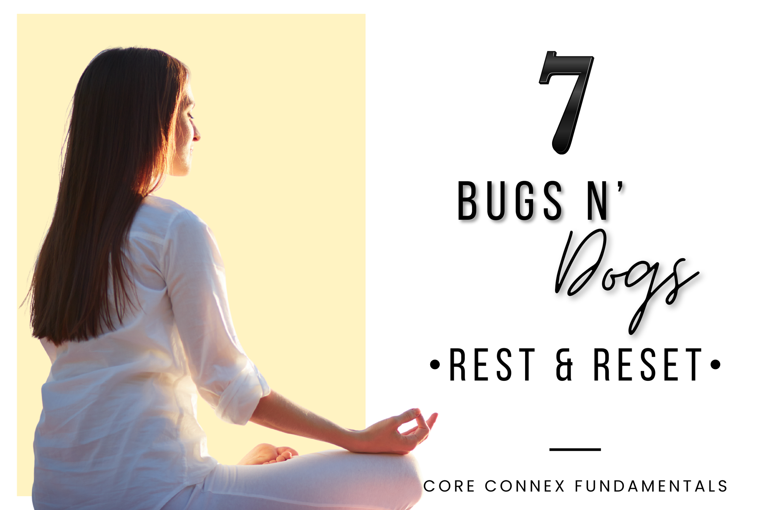 Bugs n' Dogs Rest & Reset.png