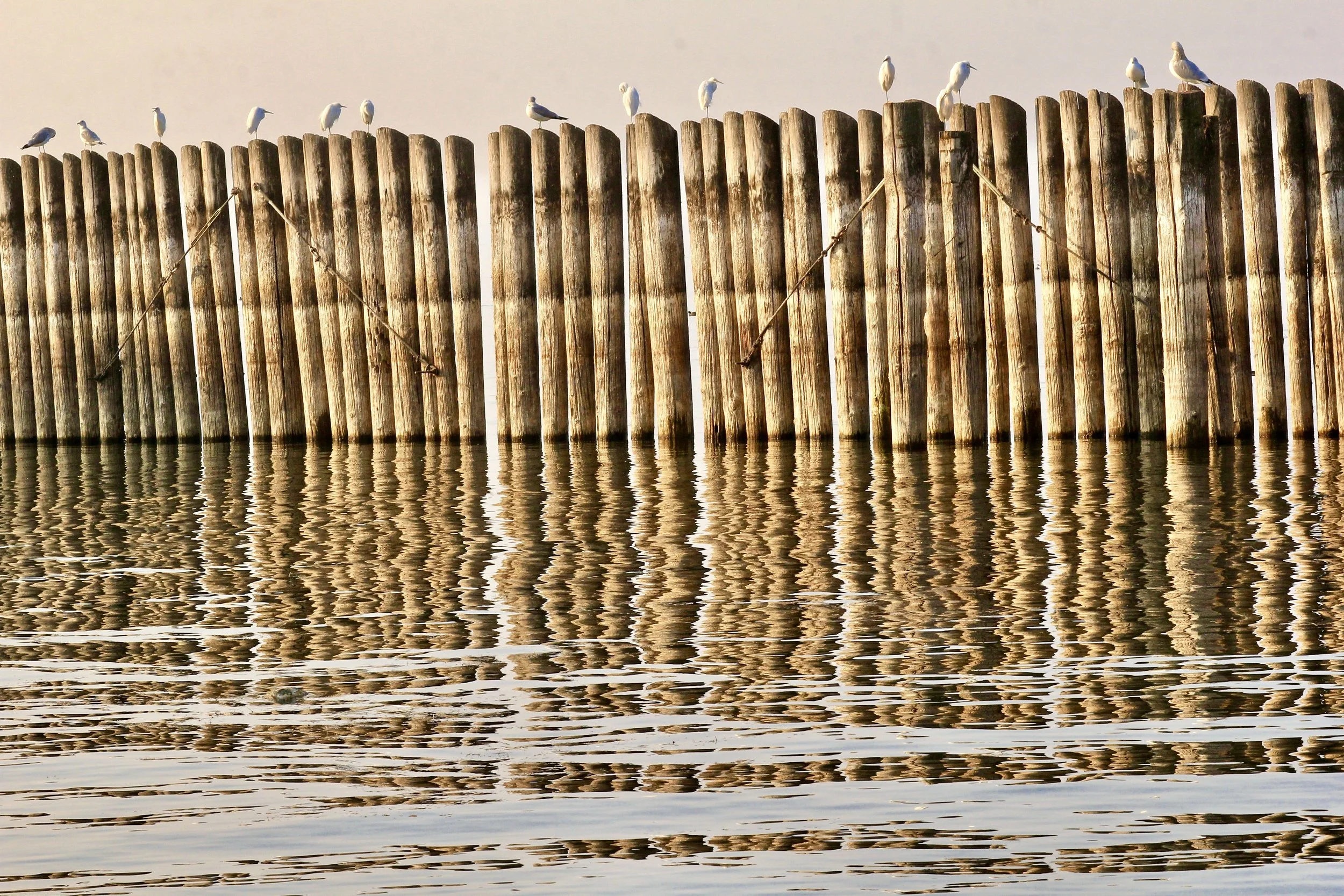 Balancing Reflections