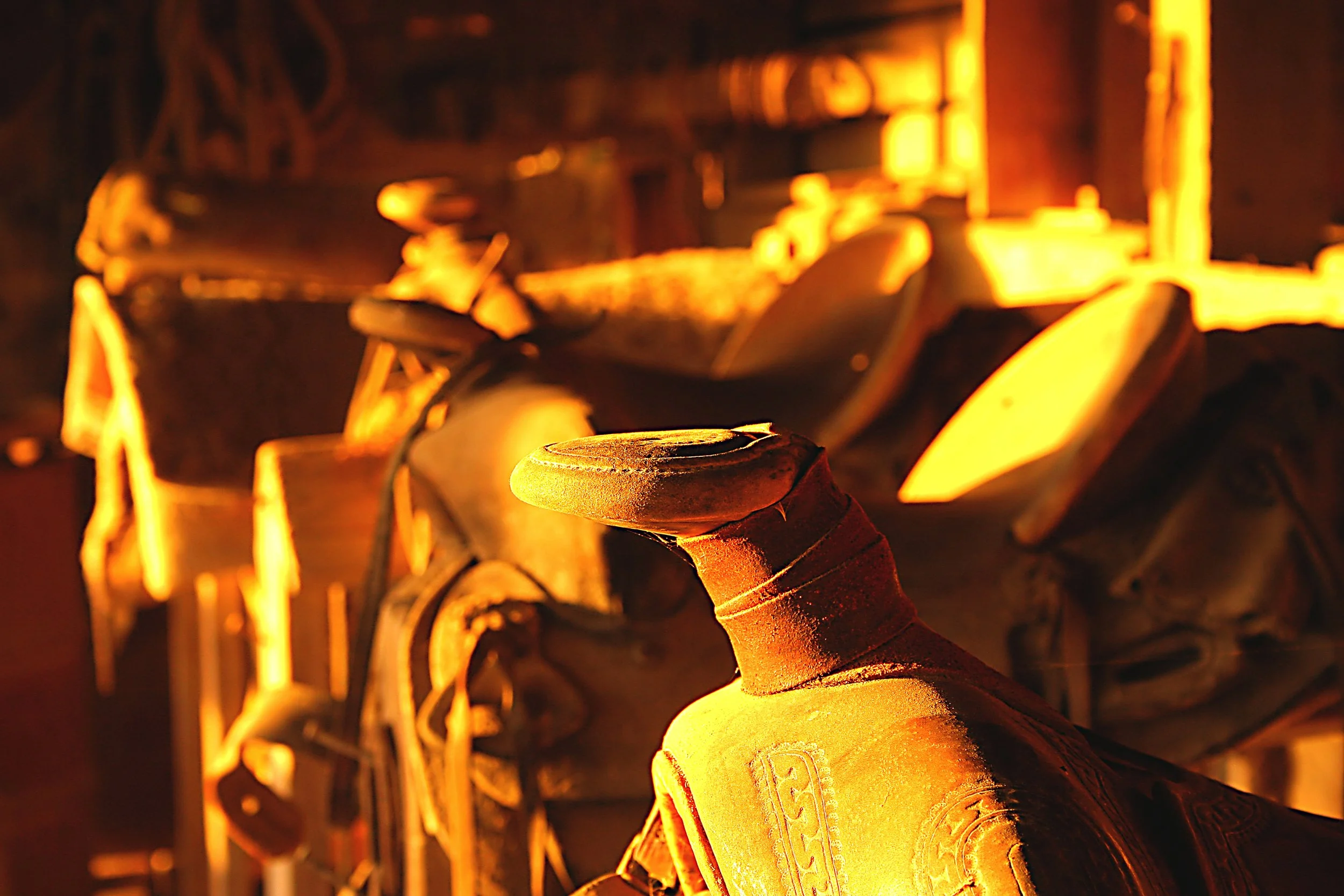 Sunlit Saddles