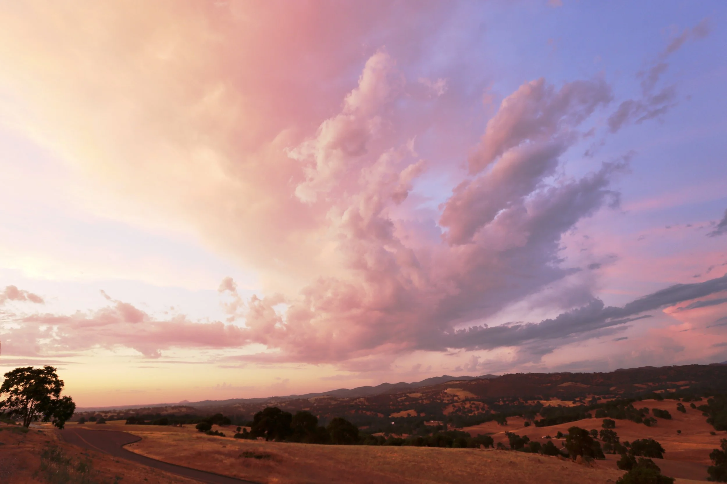 Pink Sunset