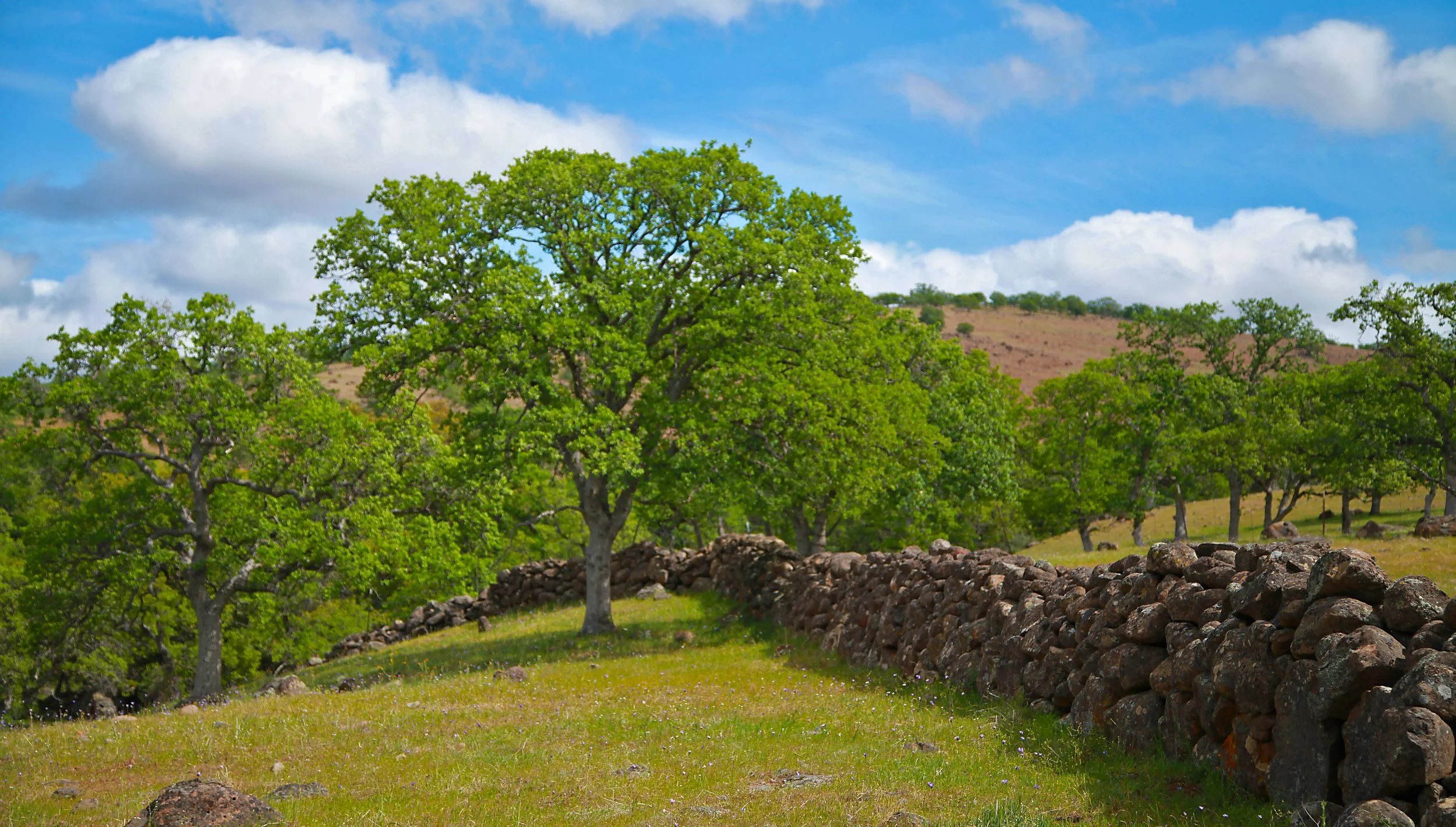 Sturdy Rock Wall
