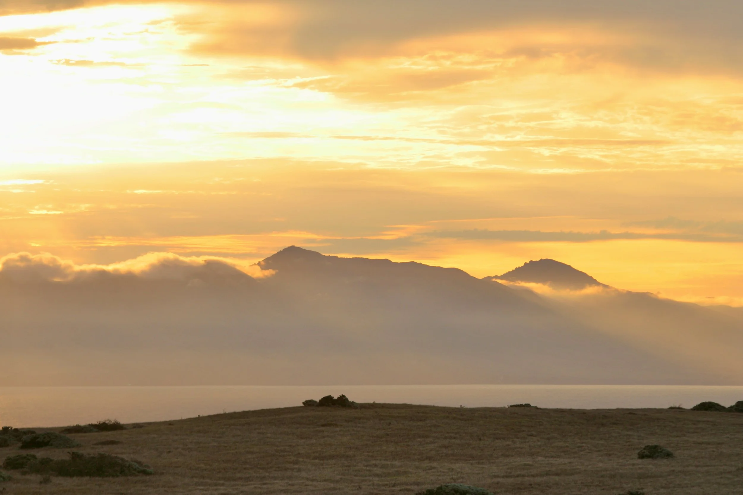 Sunlit Hills