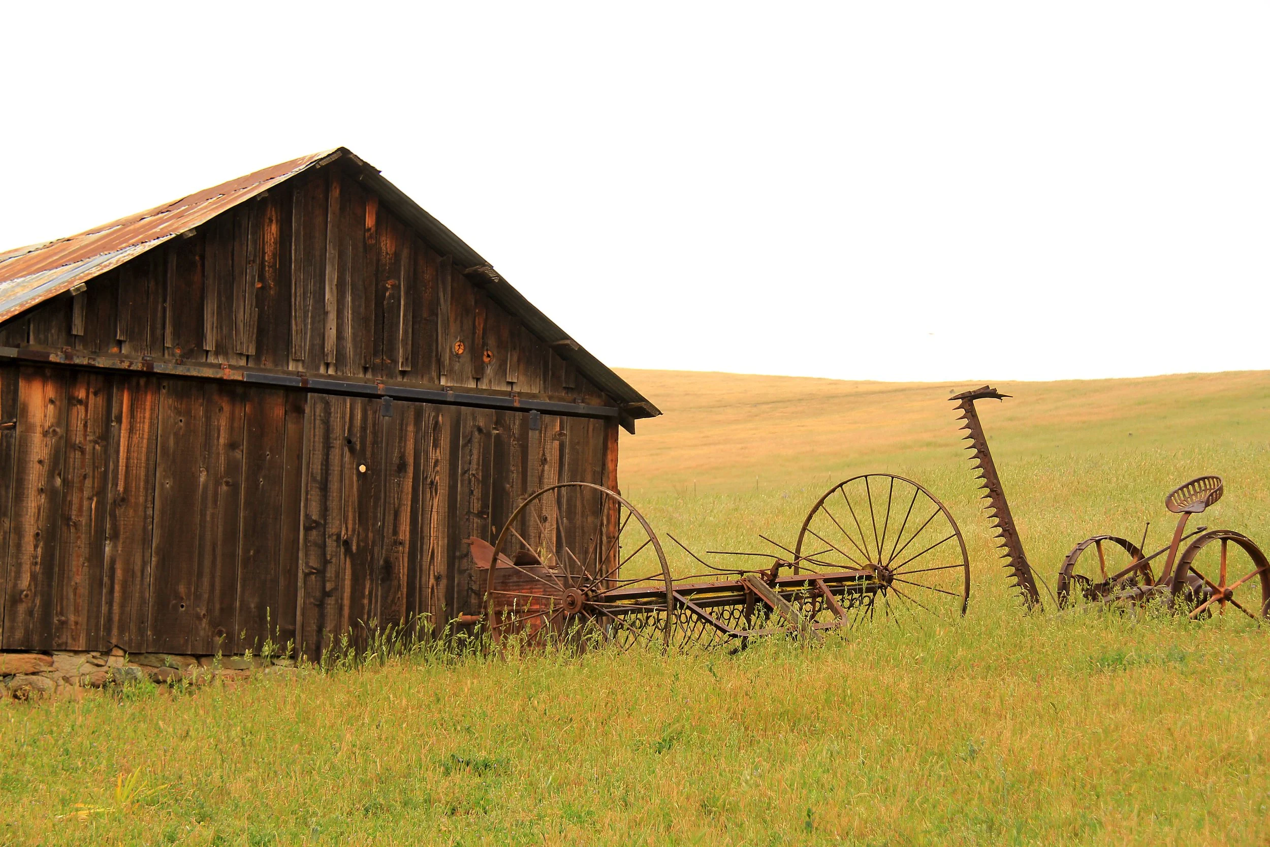 Rustic Barnyard