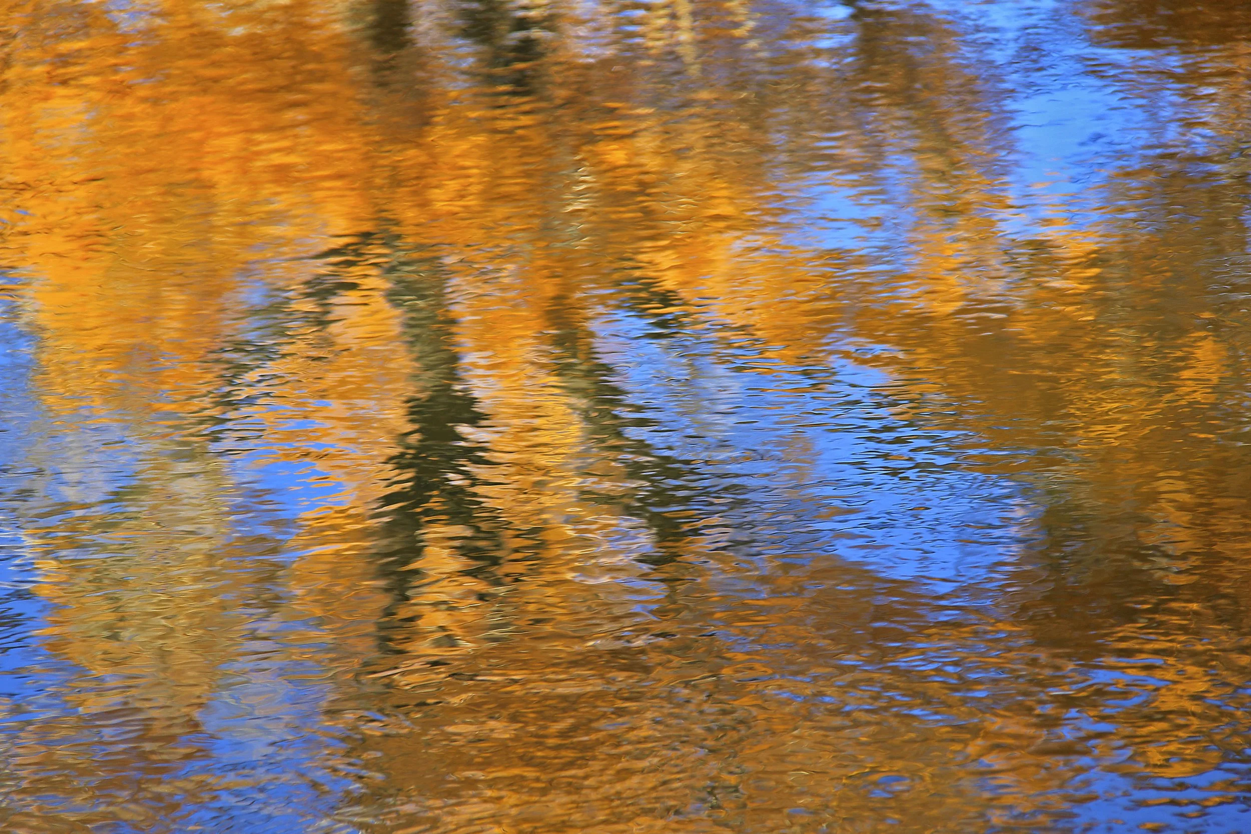 Autumn Ripples