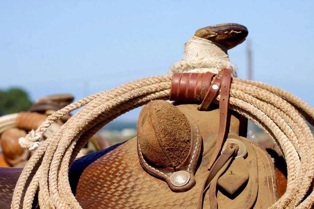 Saddle Horn