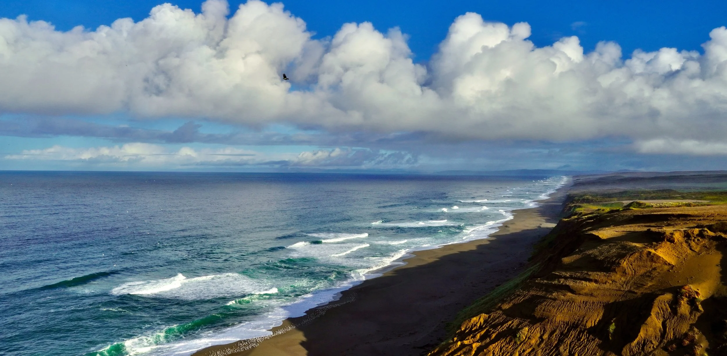 Overlooking The Coast