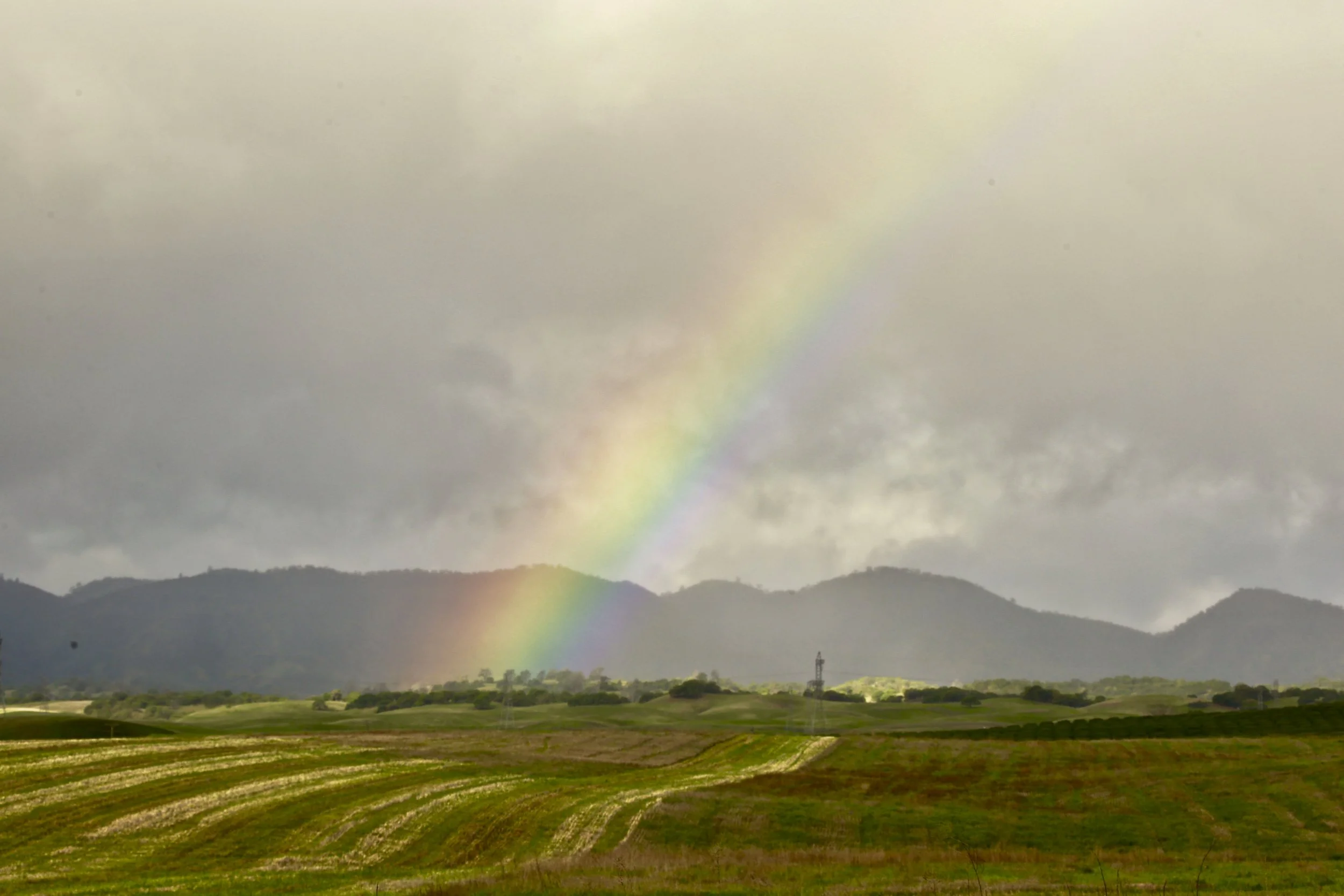 Rainbow Field