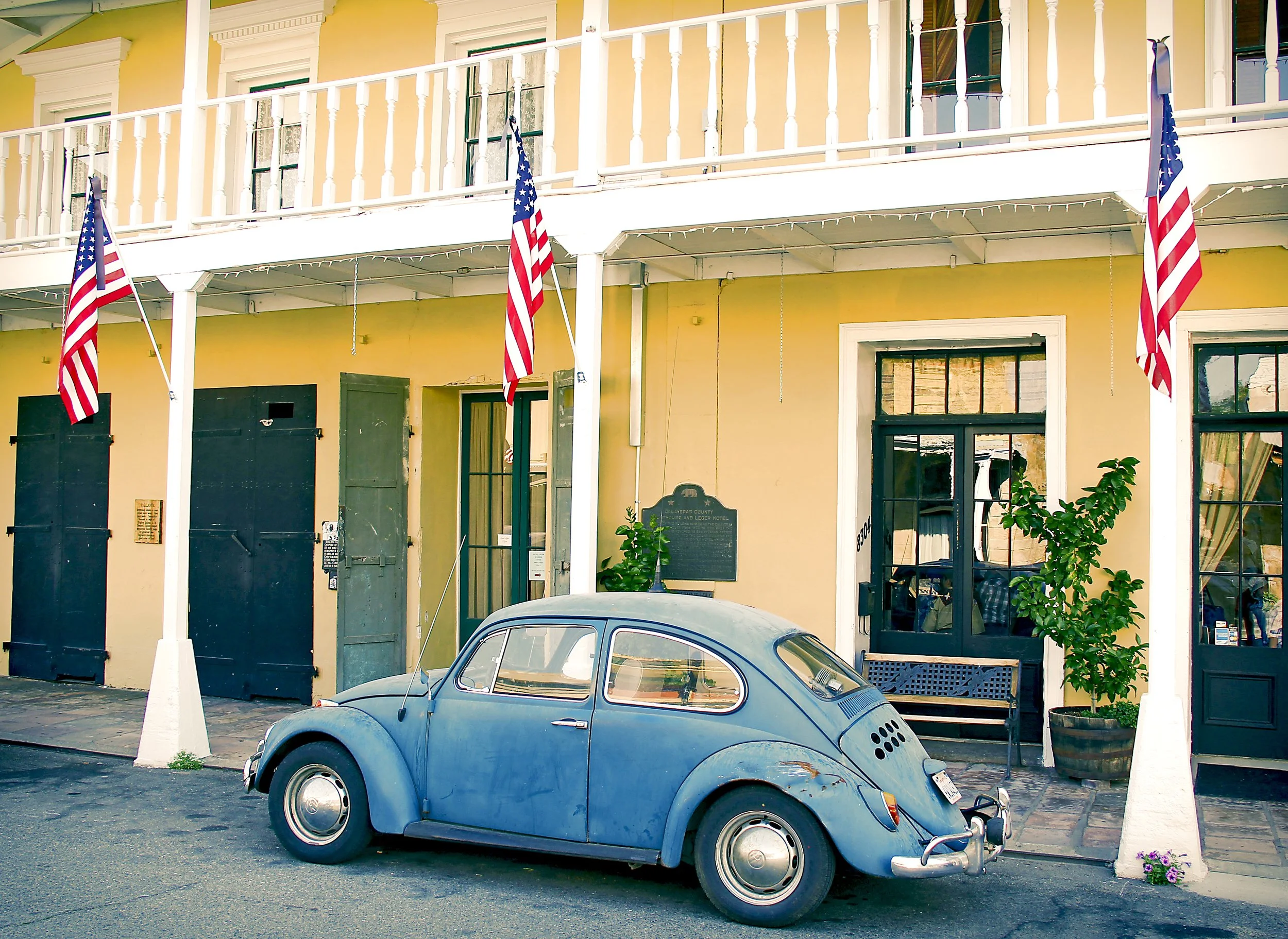 Rustic Bug