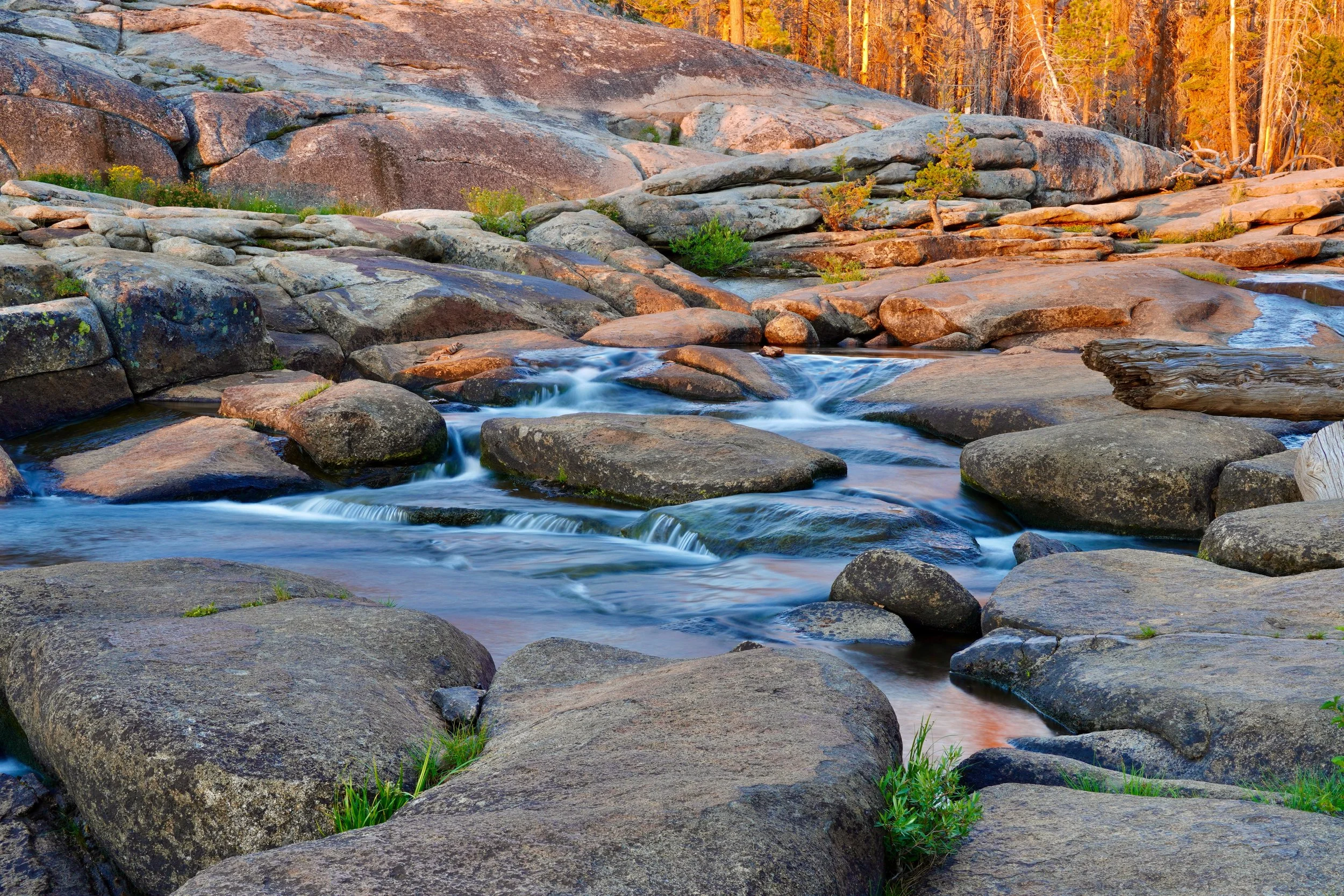 Mountain Stream