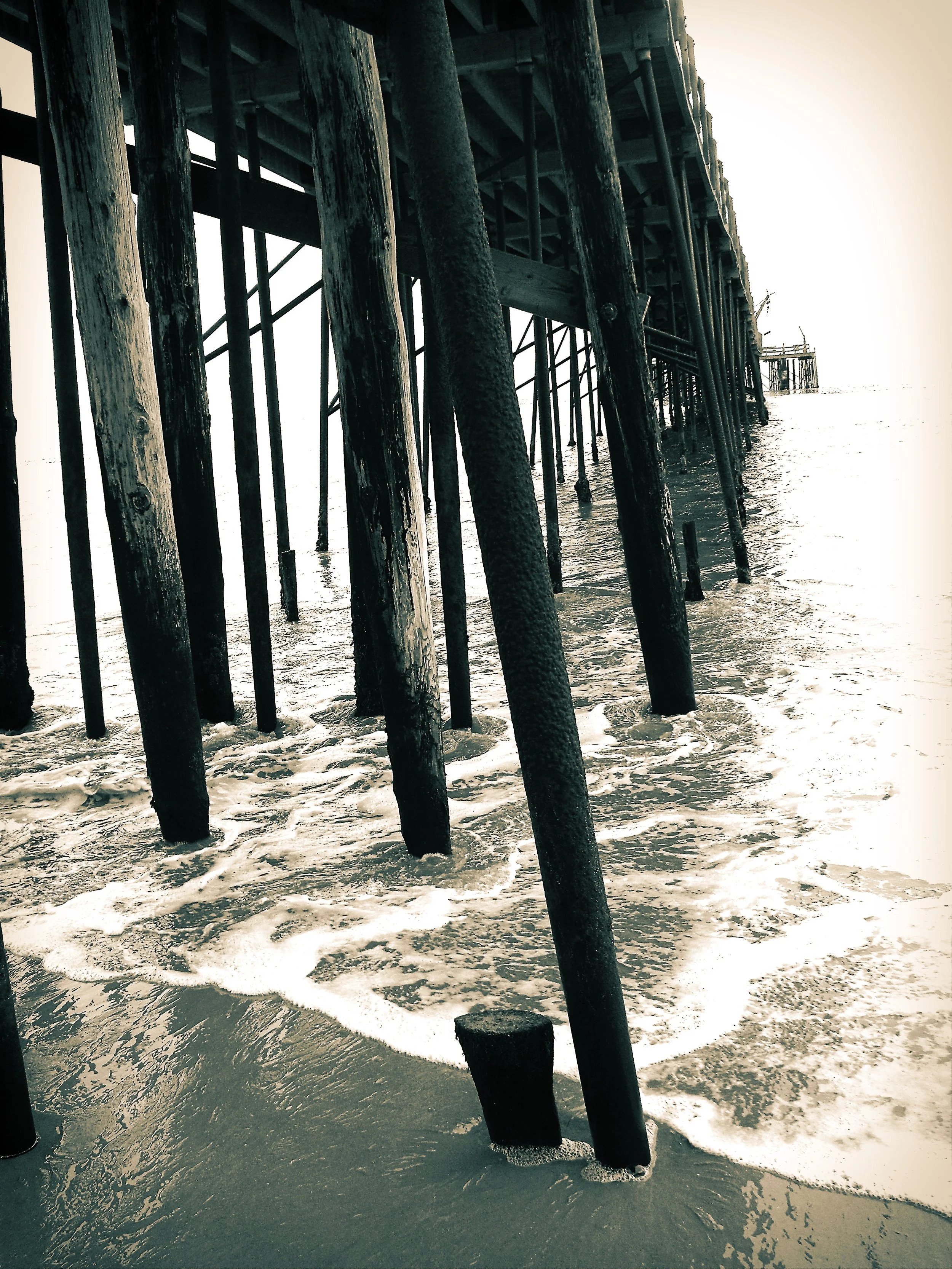 DSCF0027 2.jpg