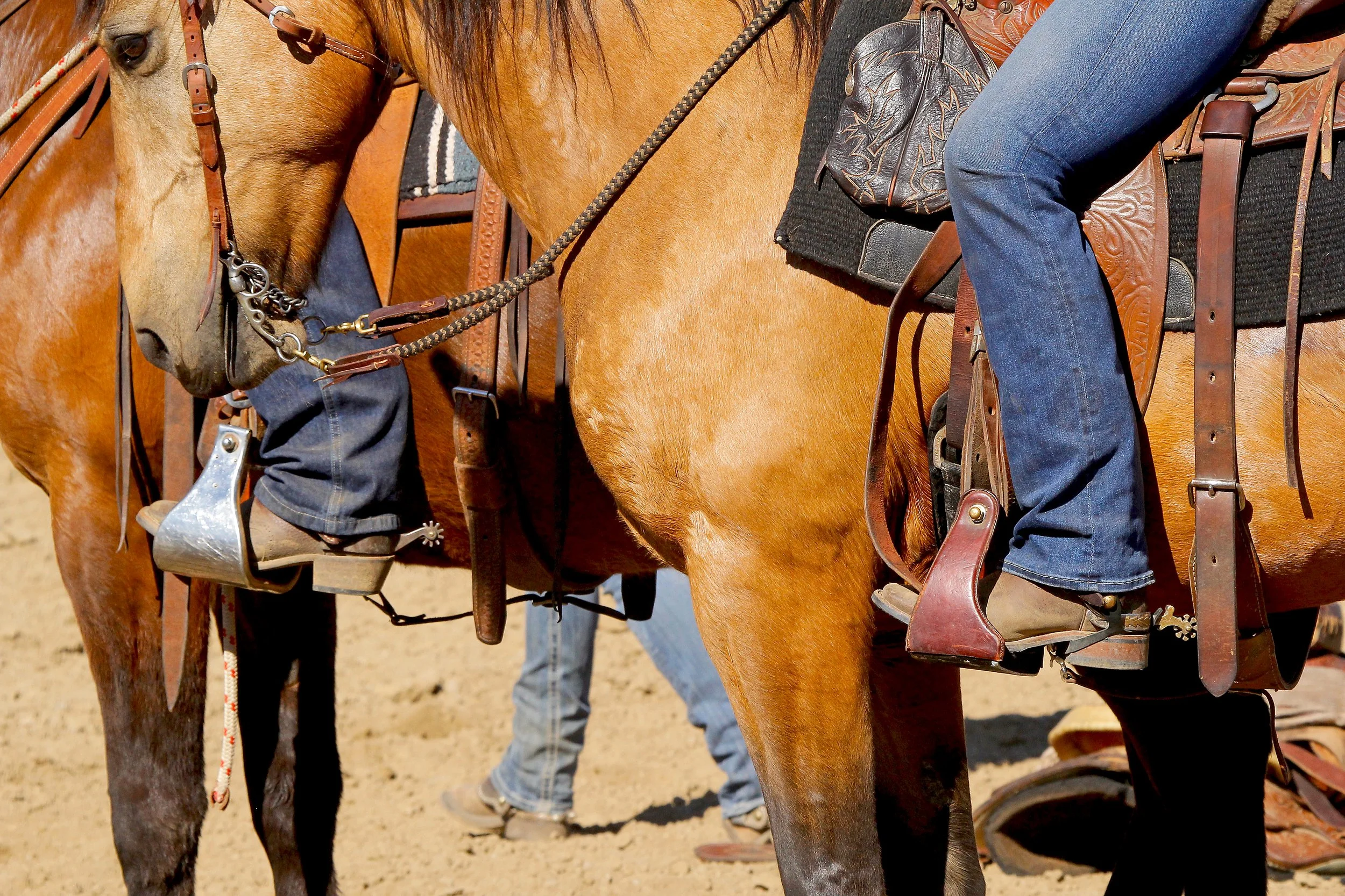 Working Horses