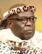 A man wearing traditional African attire and a headwrap with animal print design, glasses, and a serious expression.