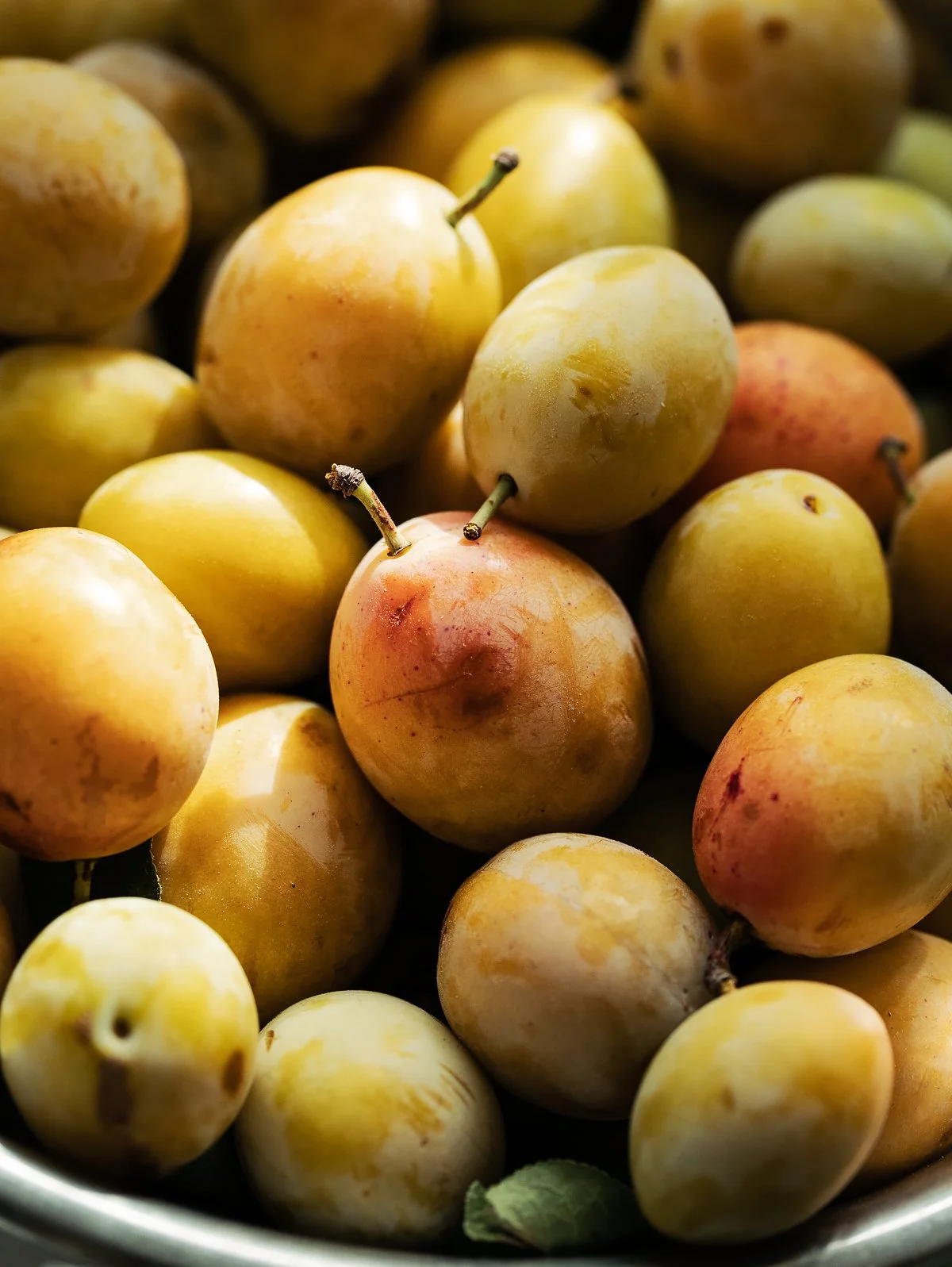 Close-up of yellow and orange plums in a bowl.