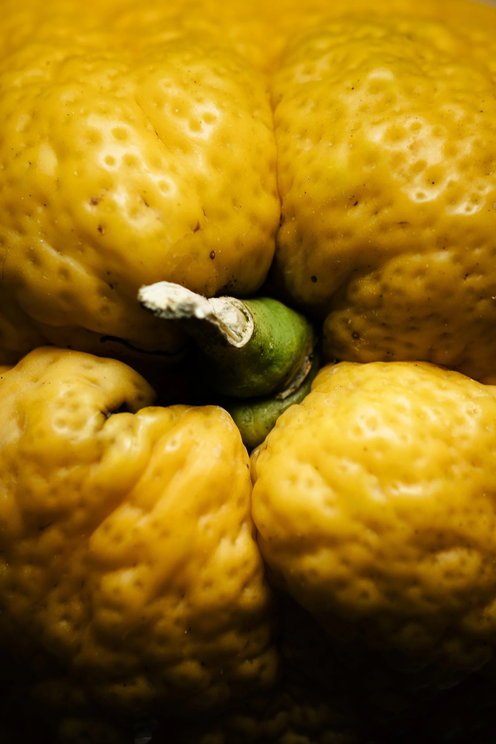 Close-up of yellow bell peppers with one green stem visible.