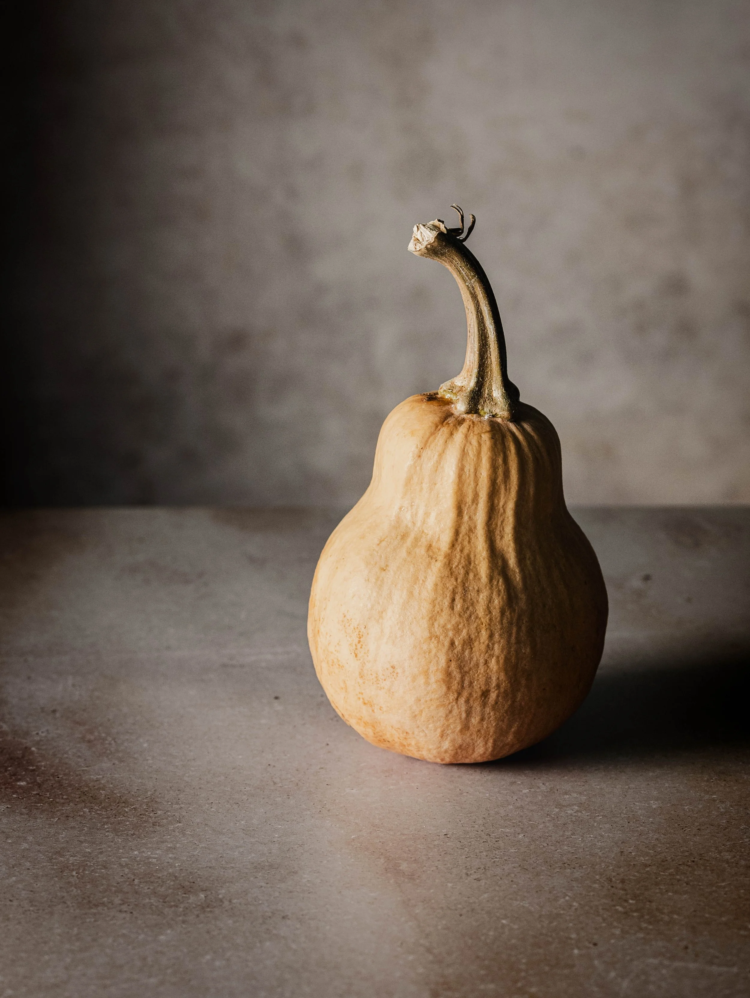 An unusual gourd with a large, bulbous base and a long, curved stem, placed on a flat surface with a textured, neutral background.