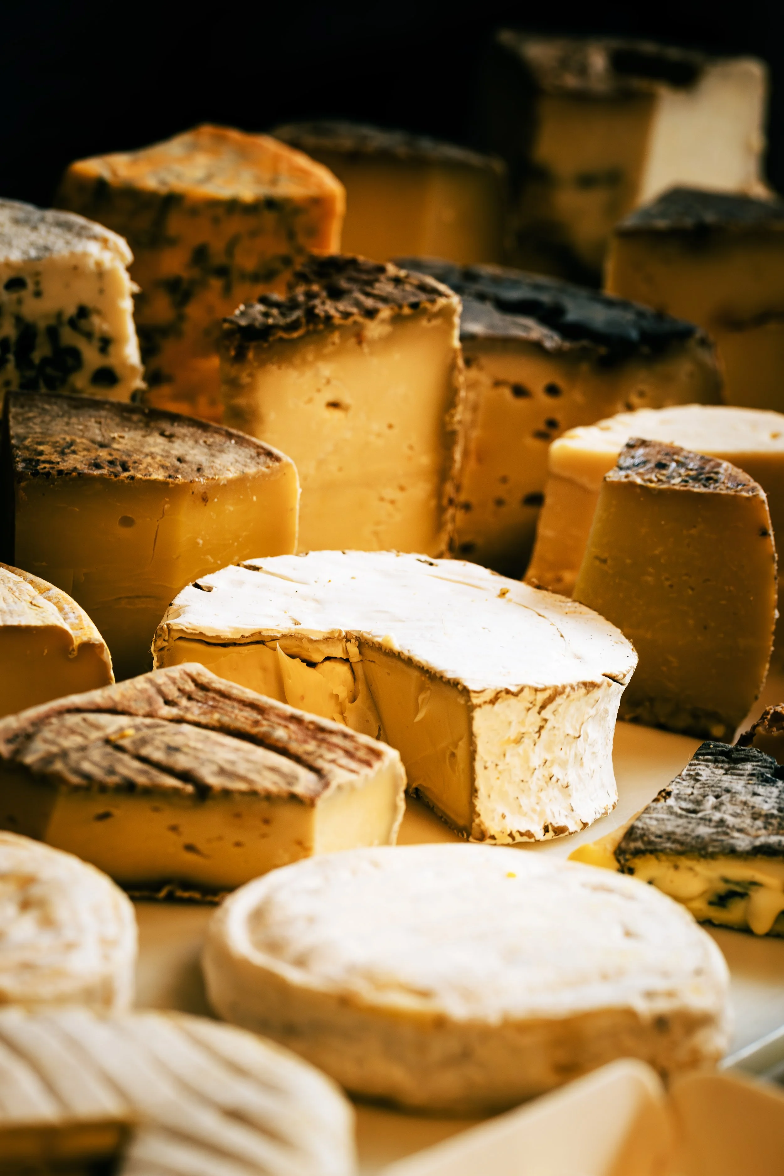 Various kinds of cheese blocks and wheels arranged closely together, showcasing different textures and colors.