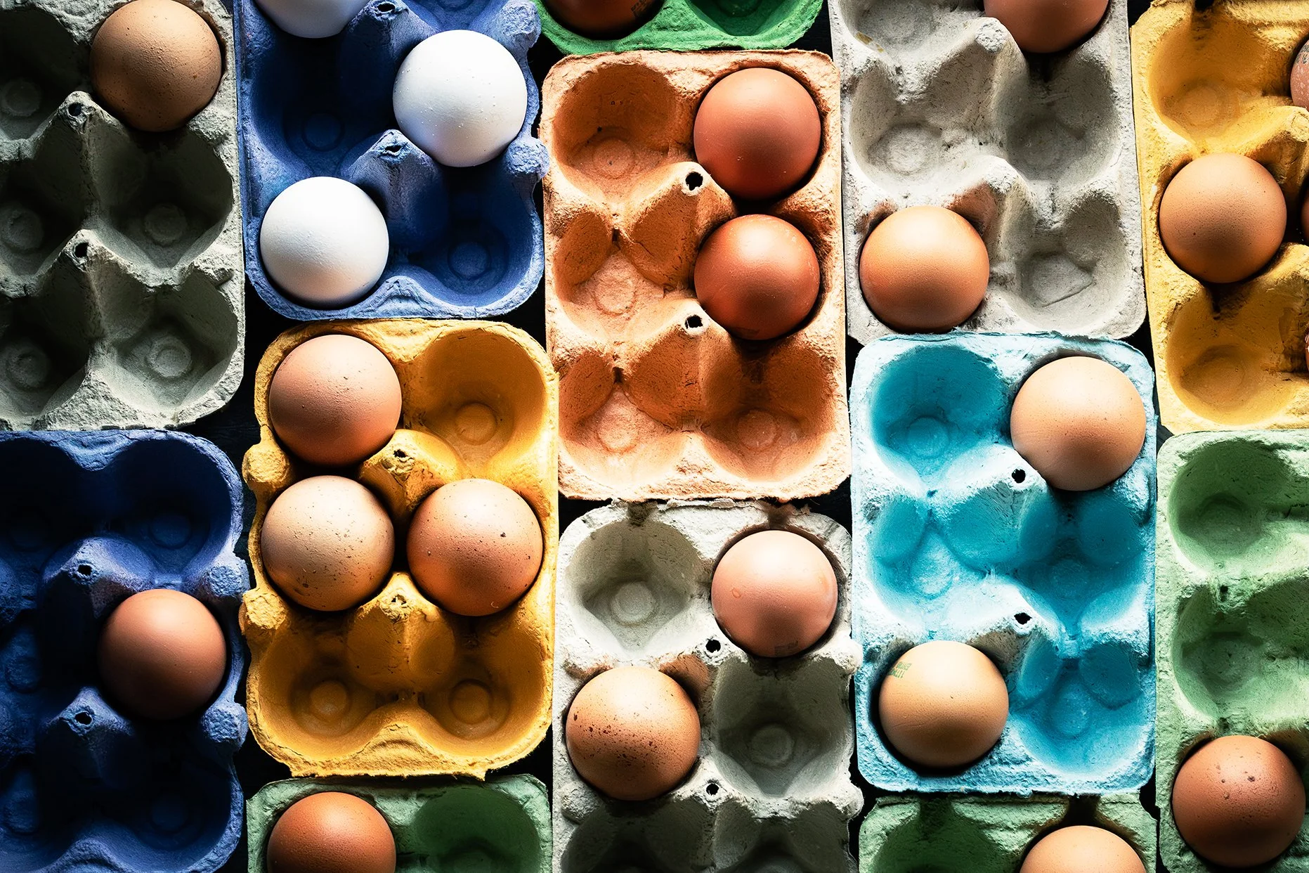 HR_CARTONI UOVA O_2 PS ridotto.jpg