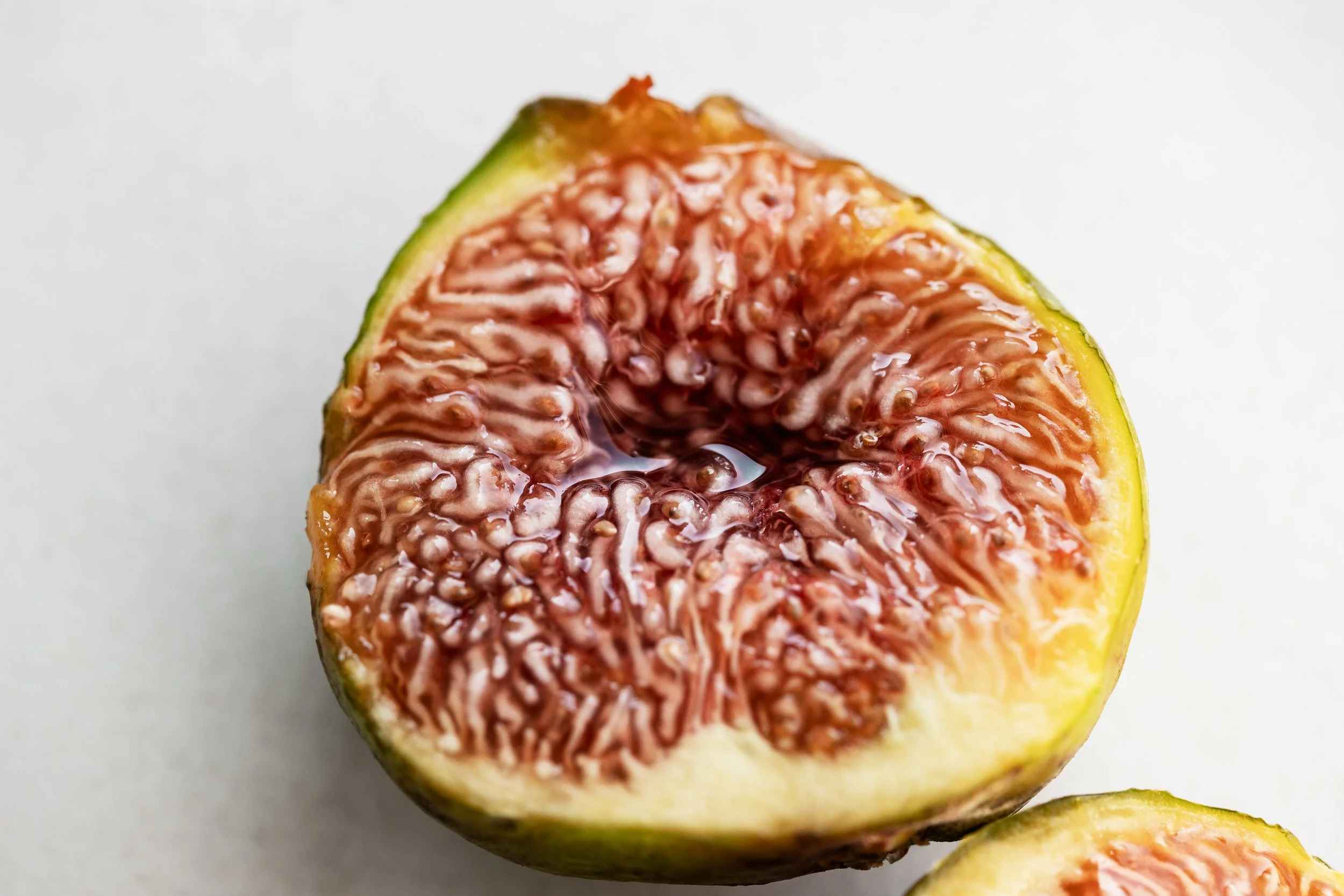 Fichi_MACRO_3_1 PS.jpg