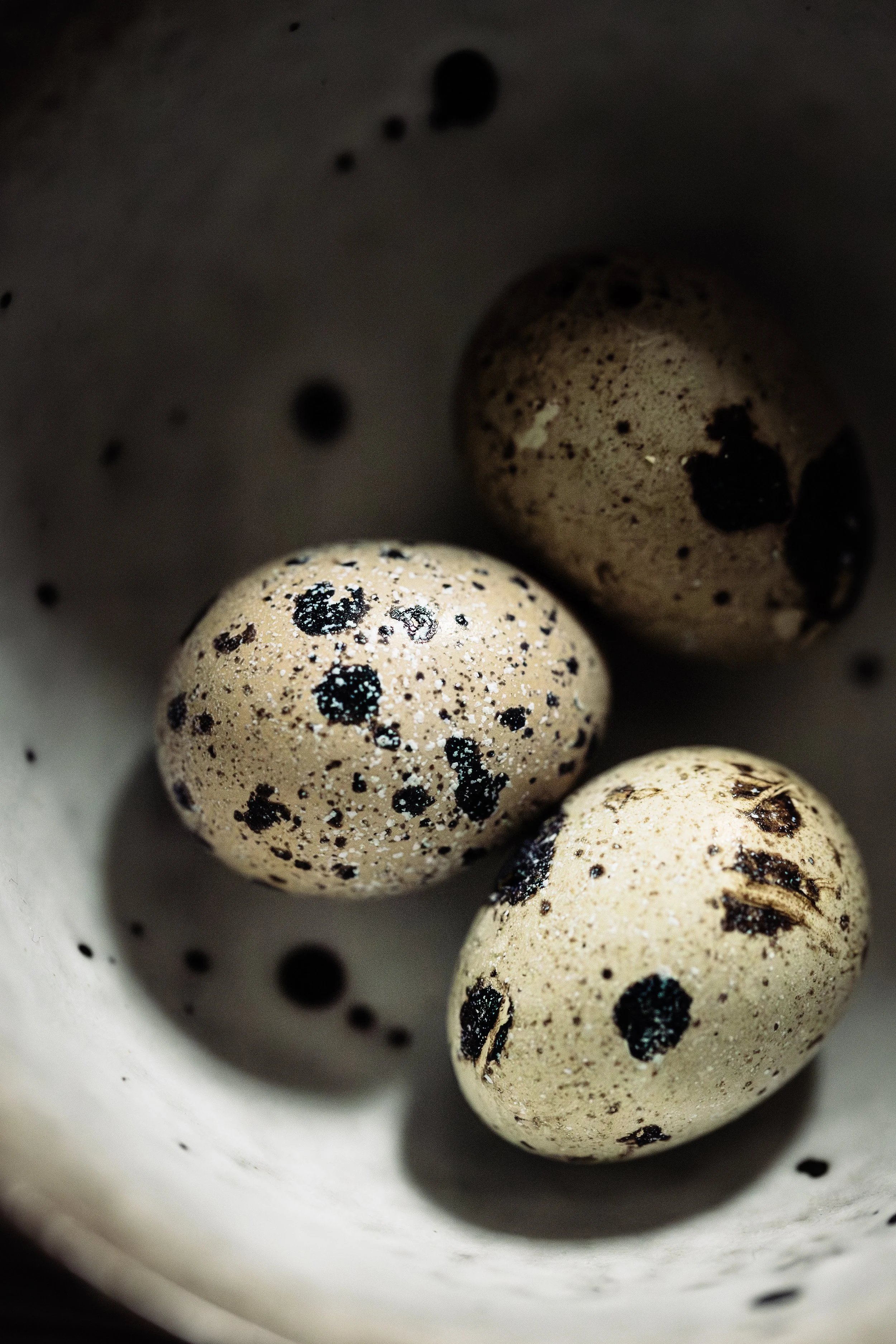 HR_3 uova quaglia_1 PS ridotta.jpg