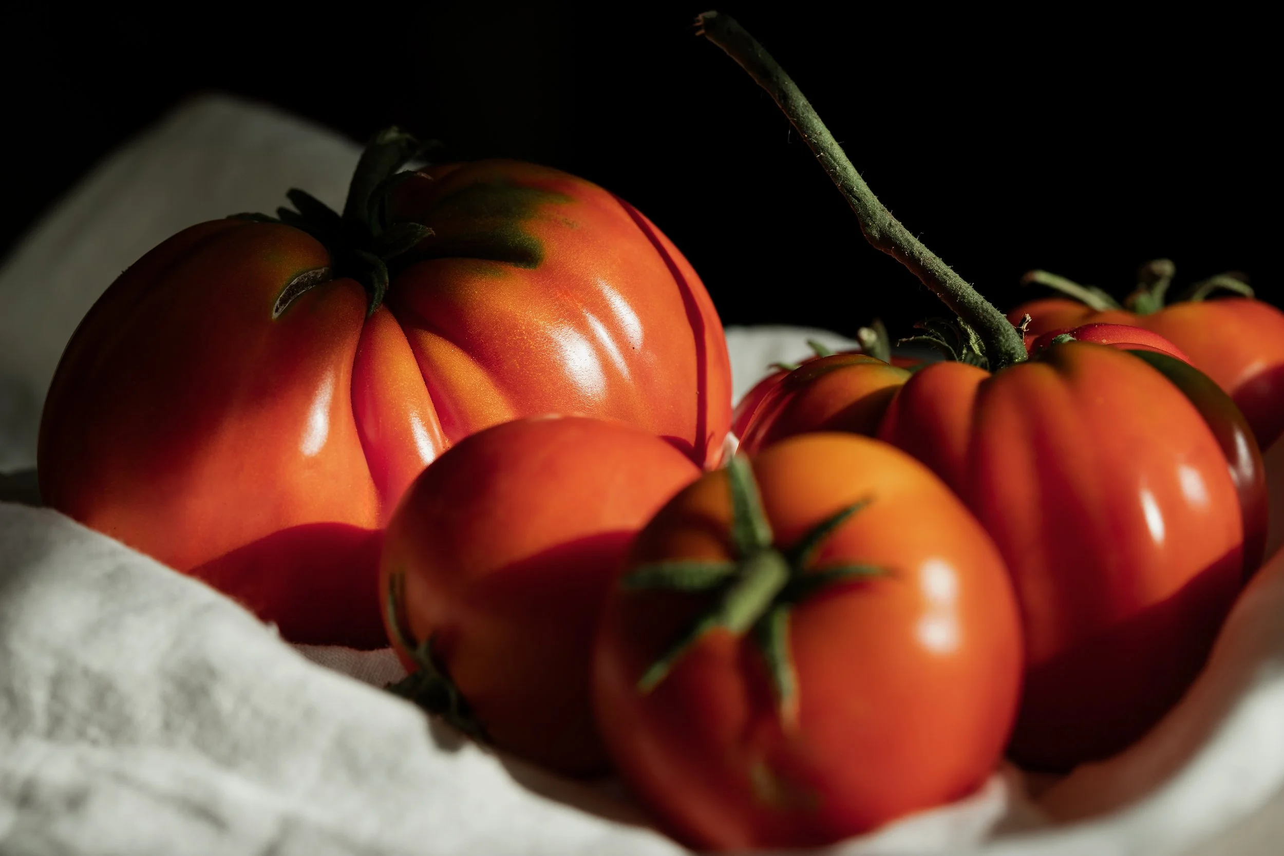 Close-up of ripe heirloom tomatoes with green stems on a white textured surface, with shadows creating a dramatic effect.