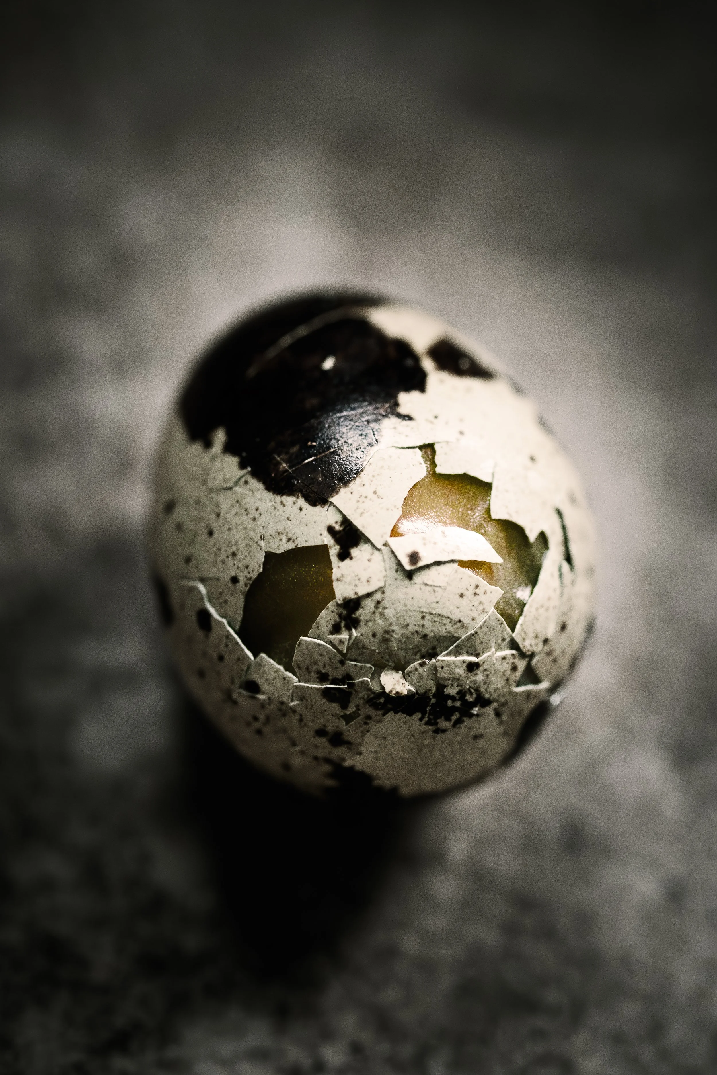 HR_quaglia rotto_1 PS.jpg