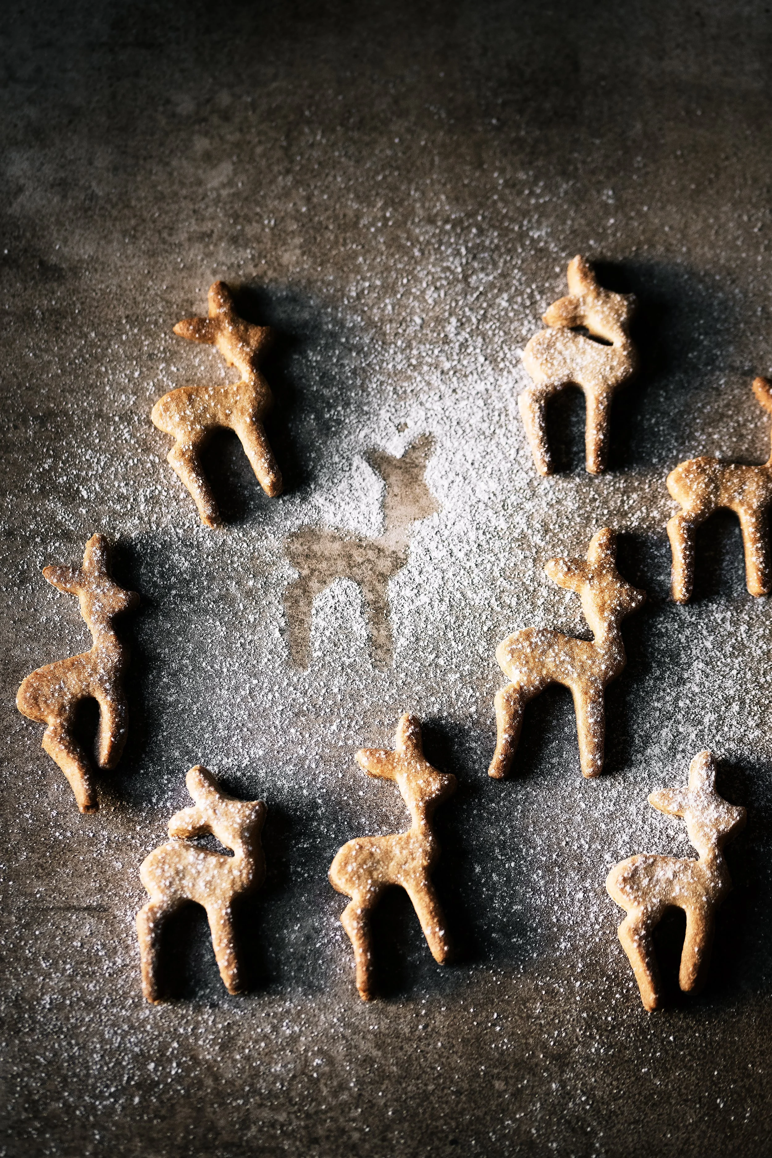 HR_renne con zucchero a velo_2 PS ridotta.jpg