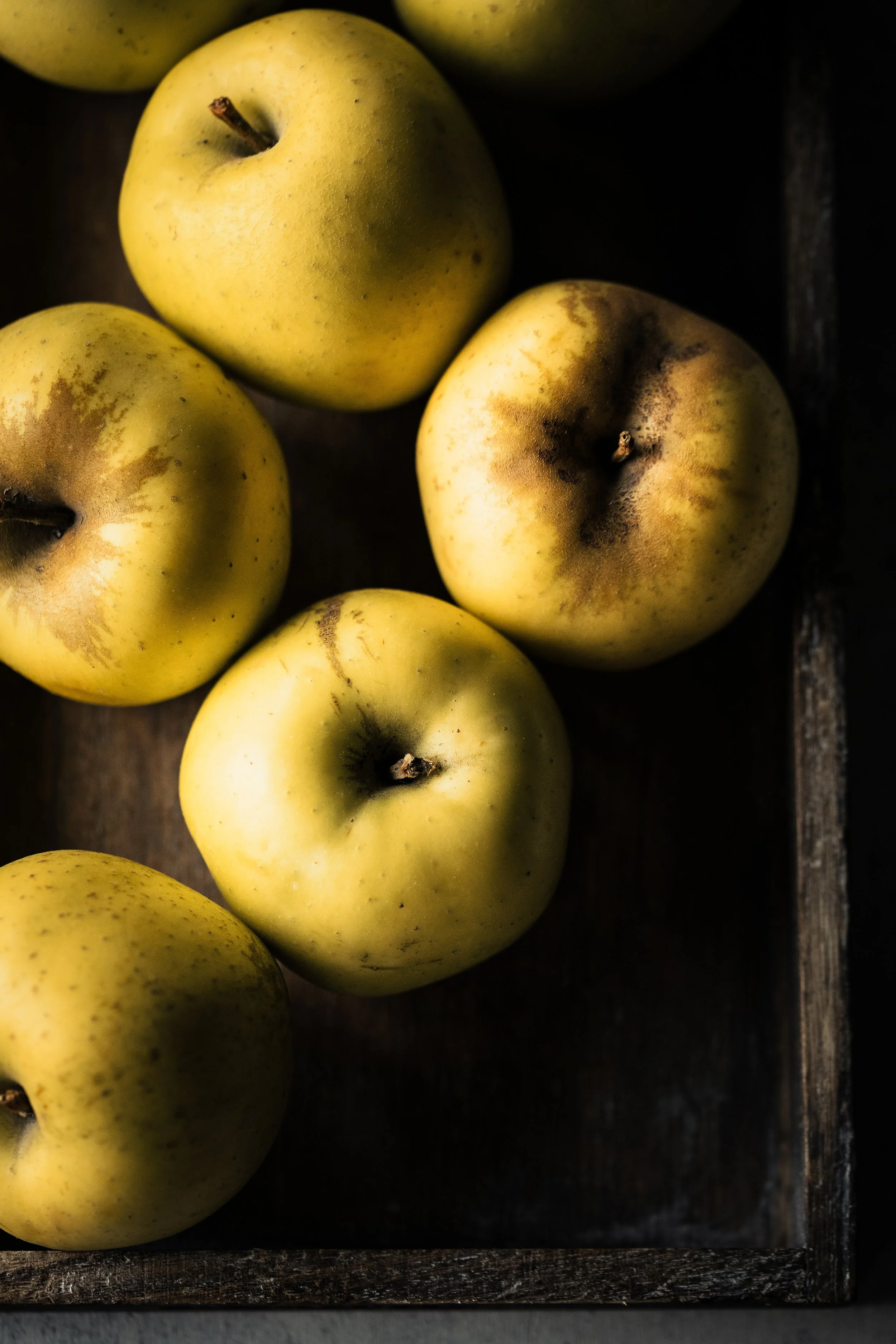 HR_MELE RENETTE_QUADRO_1 PS.jpg