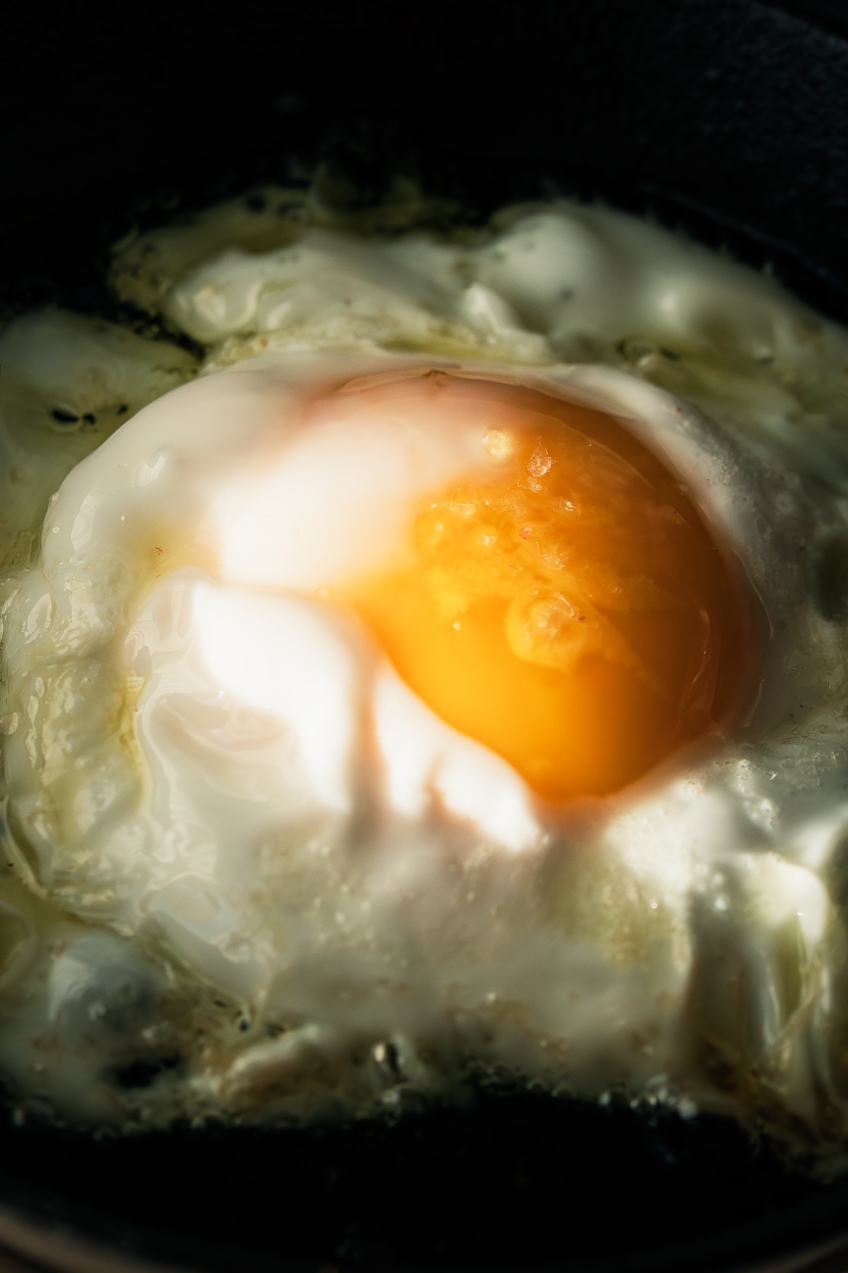 HR_sunny side up MACRO_2 PS.jpg