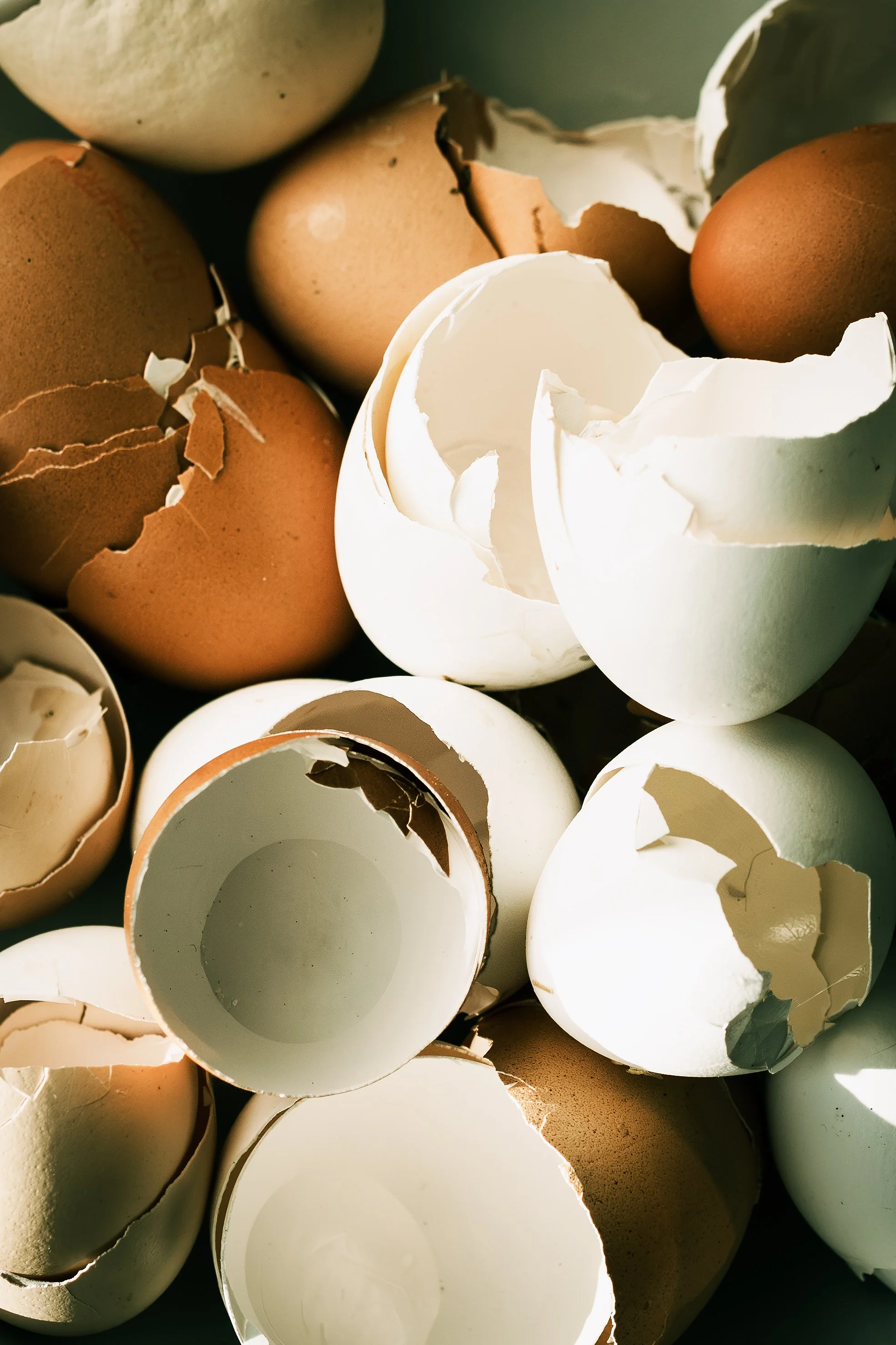 HR_GUSCI MACRO_1 PS.jpg