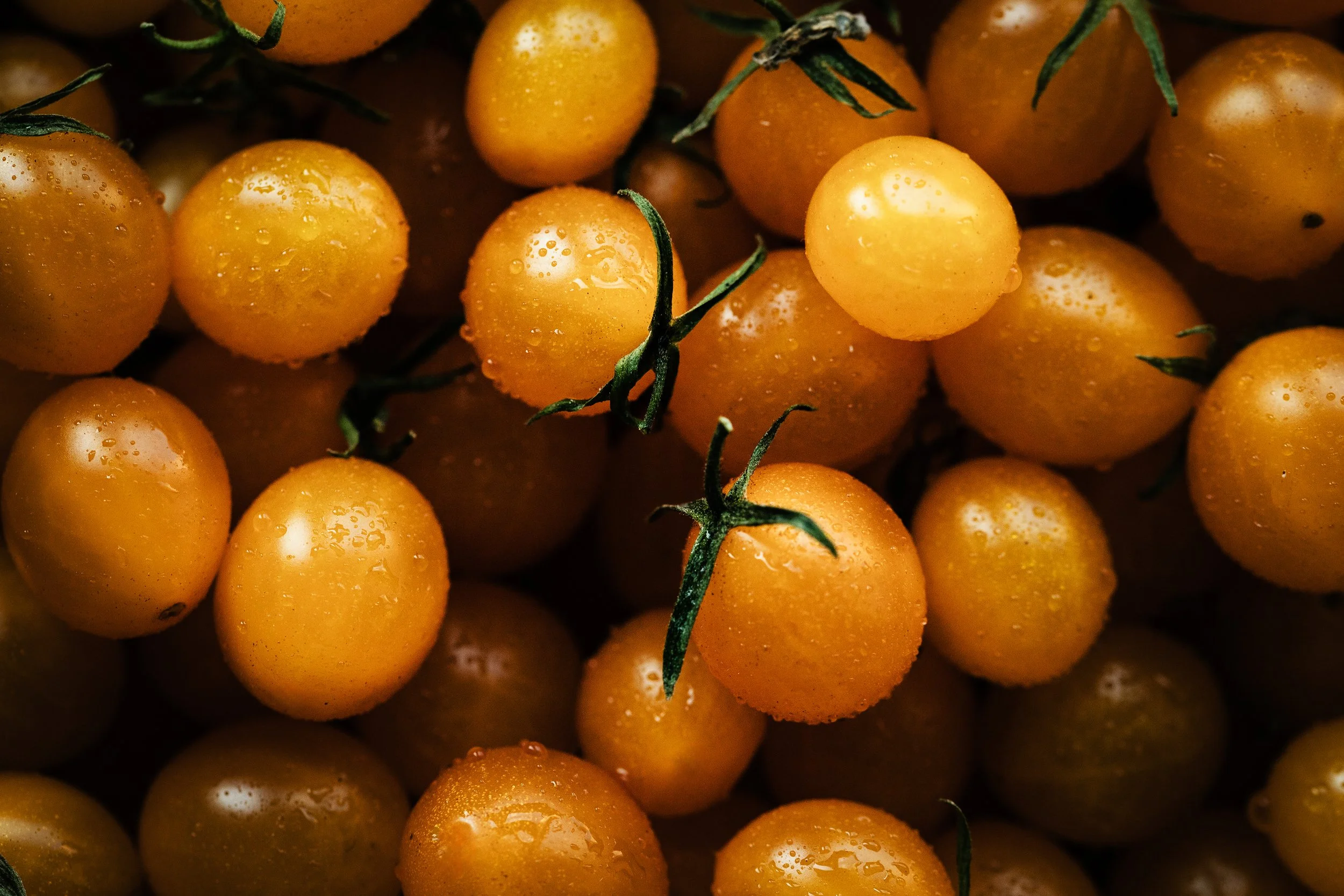 A close-up view of yellow cherry tomatoes with water droplets on their surface.