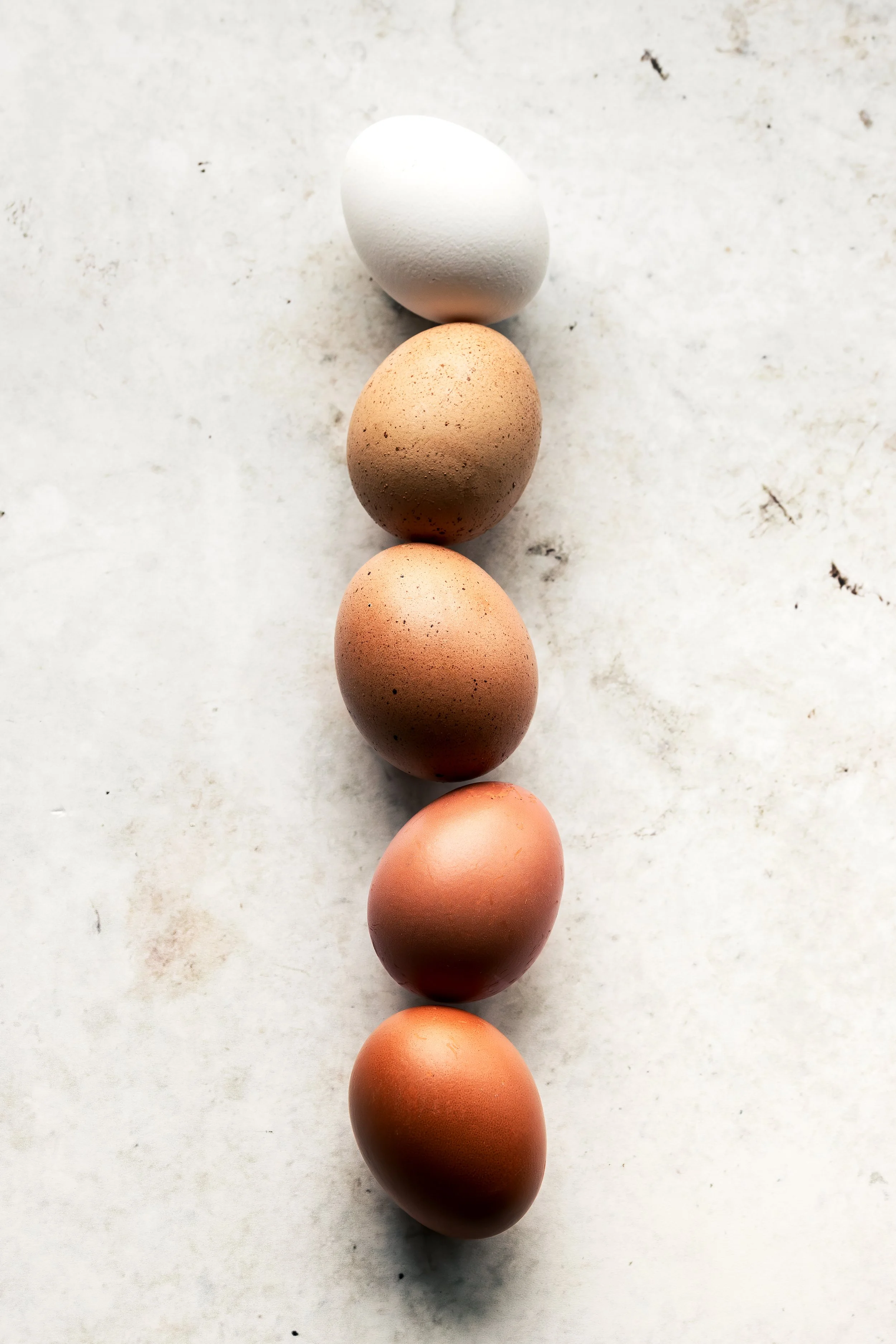 HR_GRADAZIONI UOVA VERTICALE_1 PS.jpg