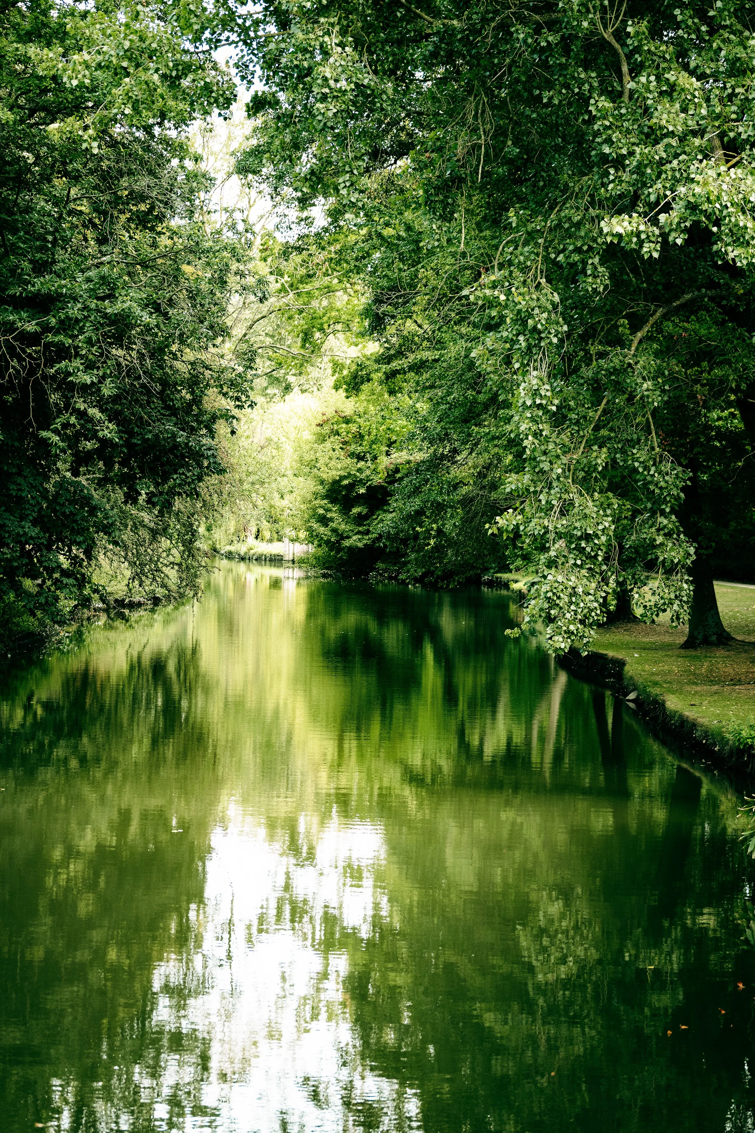A calm river flowing through a lush, green park with overhanging trees and reflections on the water.