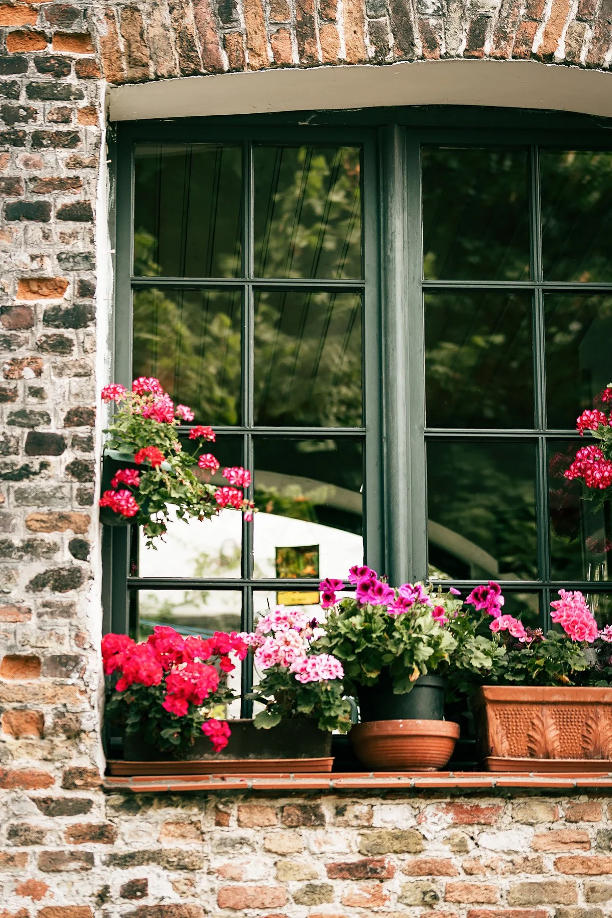A brick window with a dark green frame, decorated with pink and red flowers in pots on the windowsill.