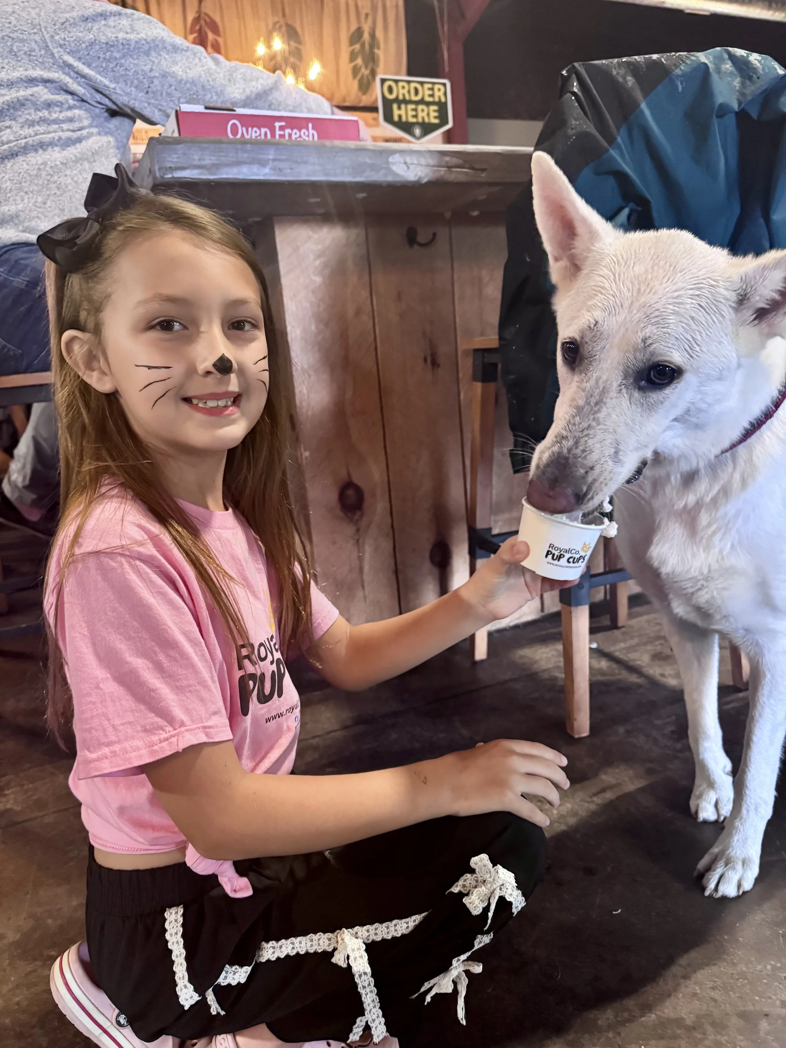 Tricks-N-Treats Dog Festival