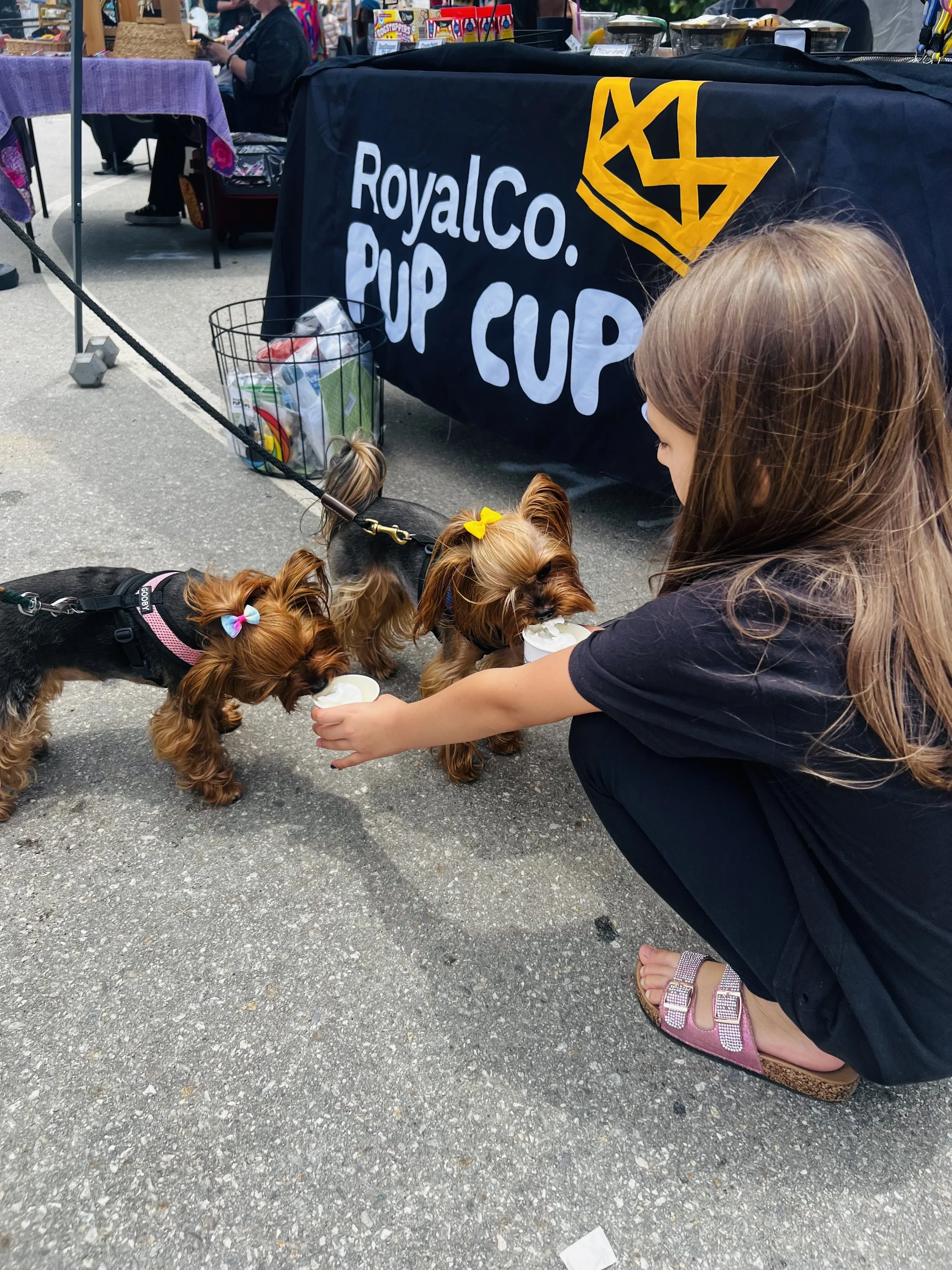 Yorkies